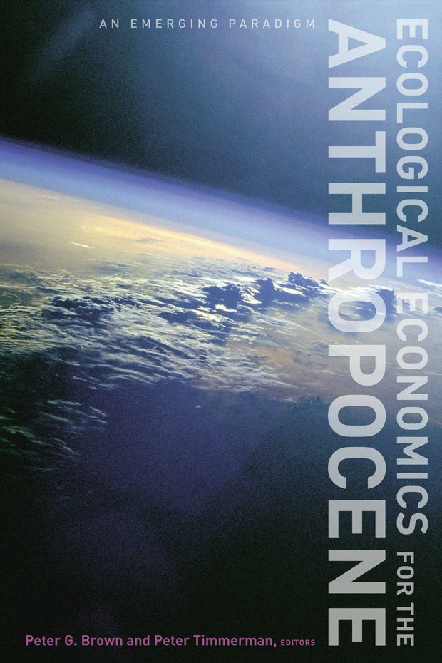 Cover image for Ecological Economics for the Anthropocene, isbn: 9780231173421
