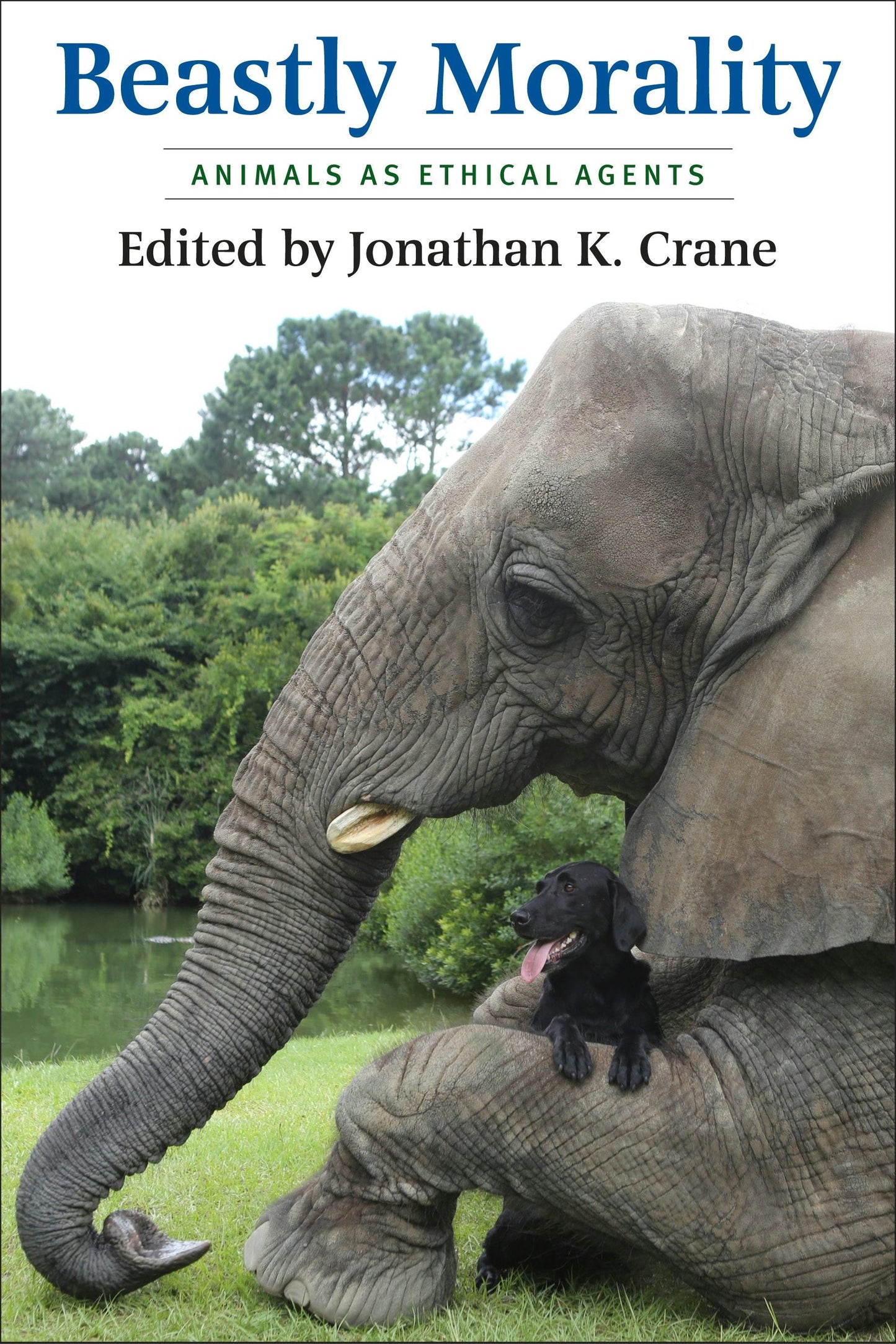 Book cover image for Beastly Morality ISBN: 9780231174169