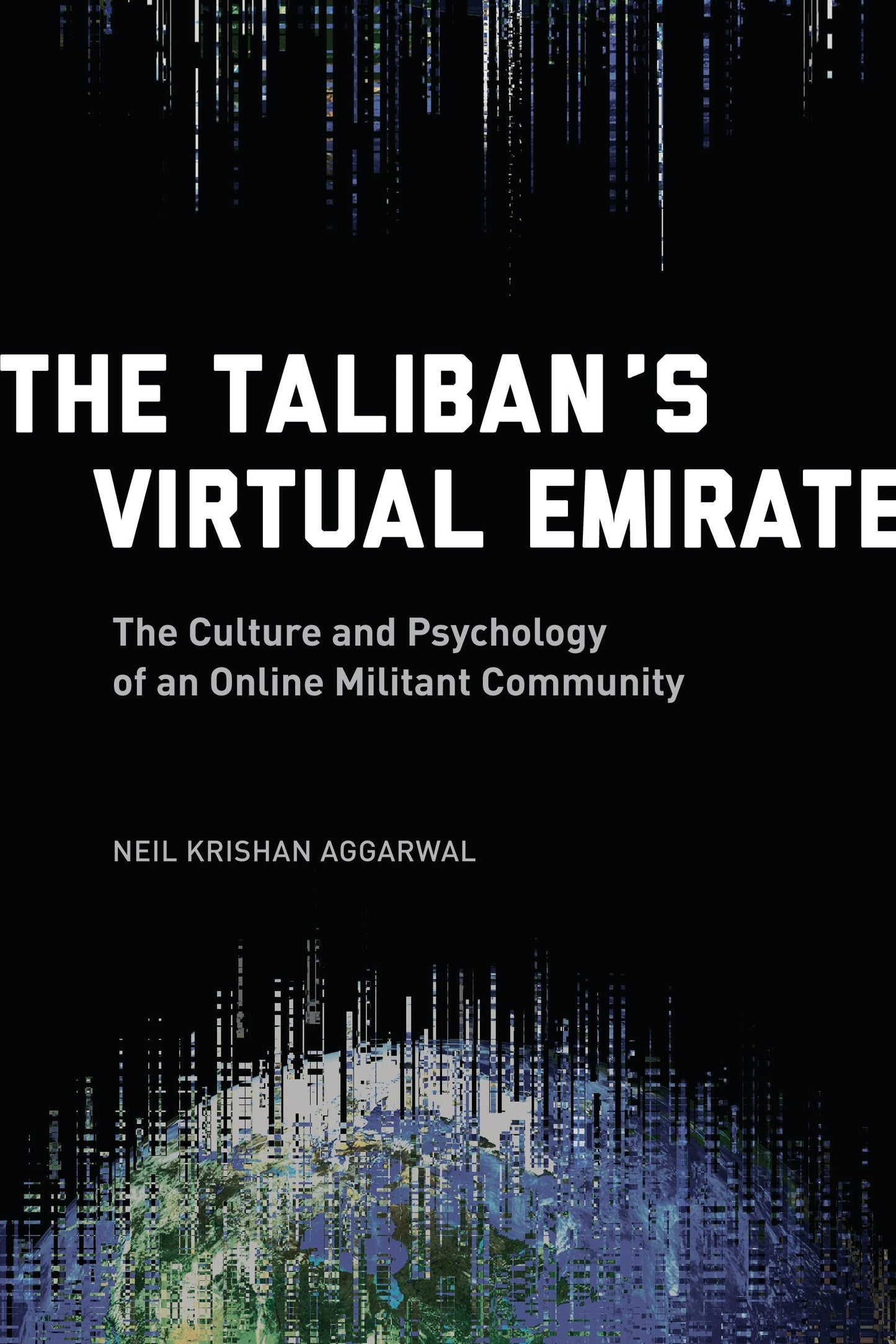 Book cover image for The Taliban's Virtual Emirate ISBN: 9780231174268