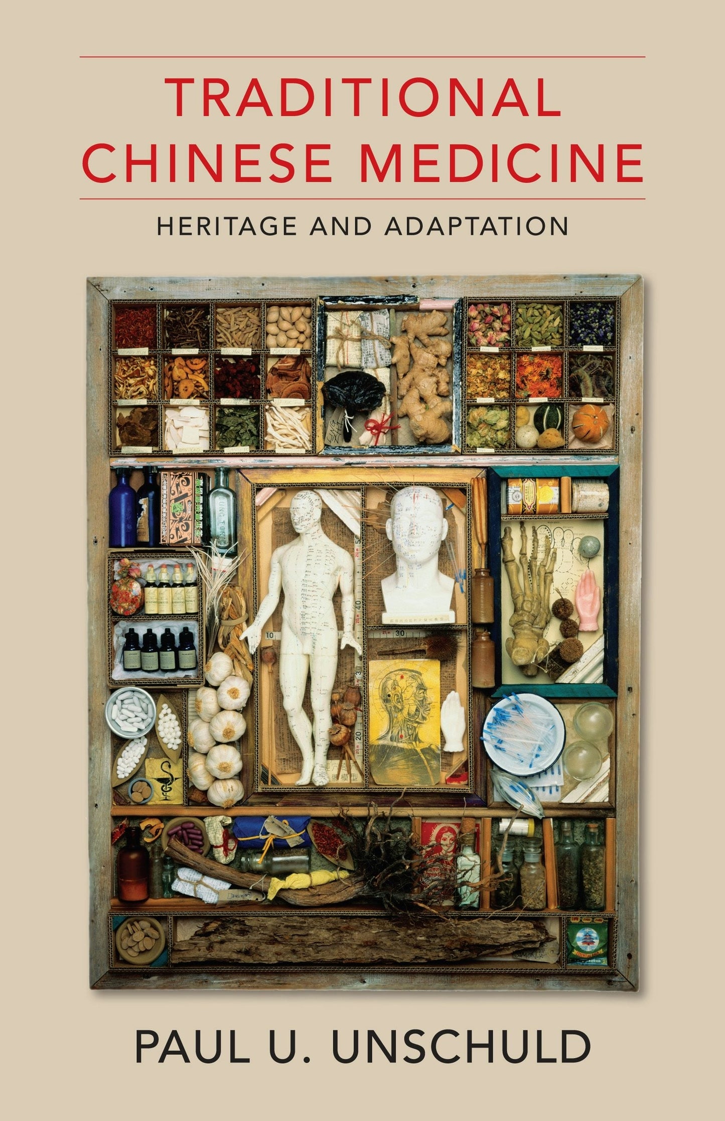 Book cover image for Traditional Chinese Medicine ISBN: 9780231175005