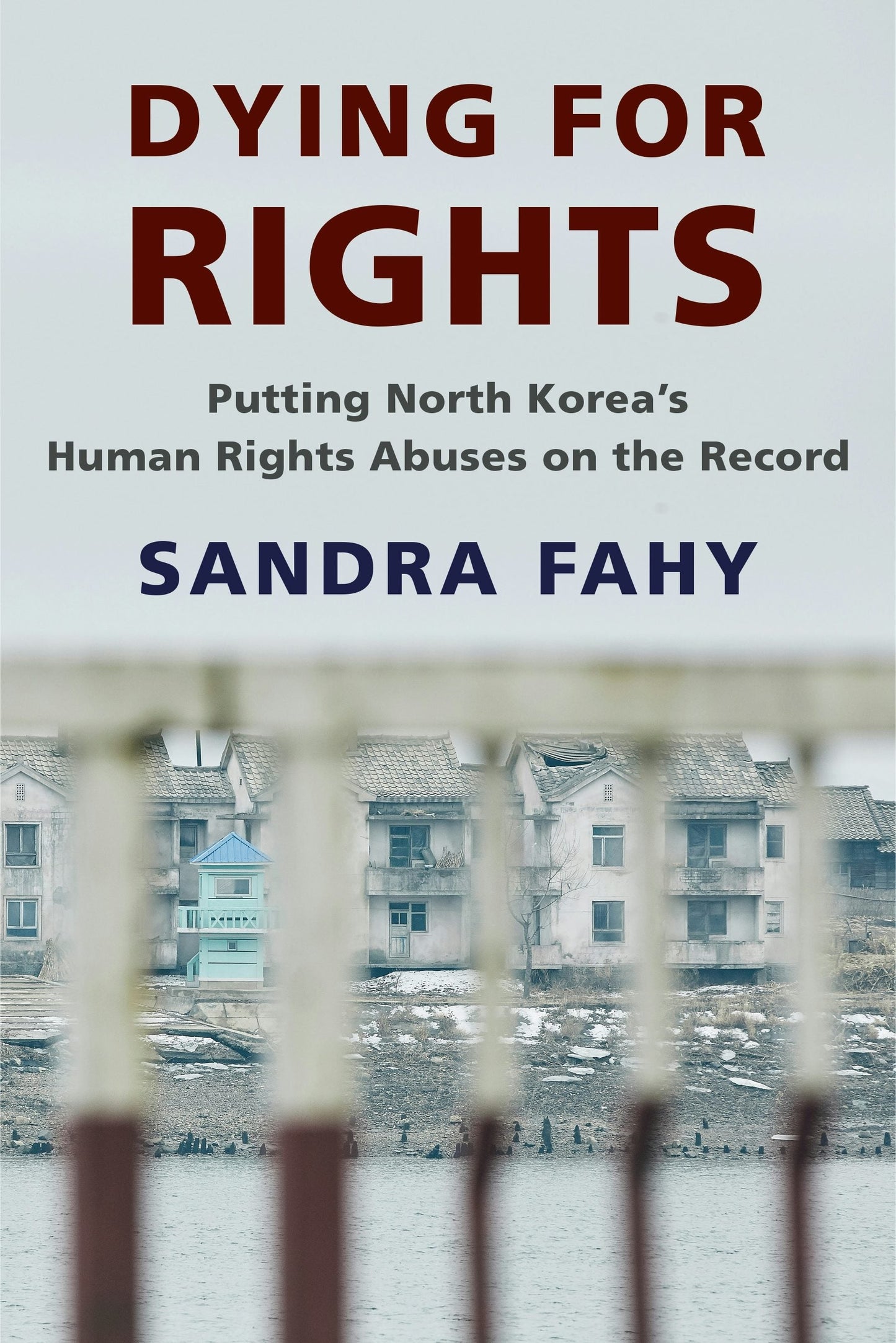 Book cover image for Dying for Rights ISBN: 9780231176347
