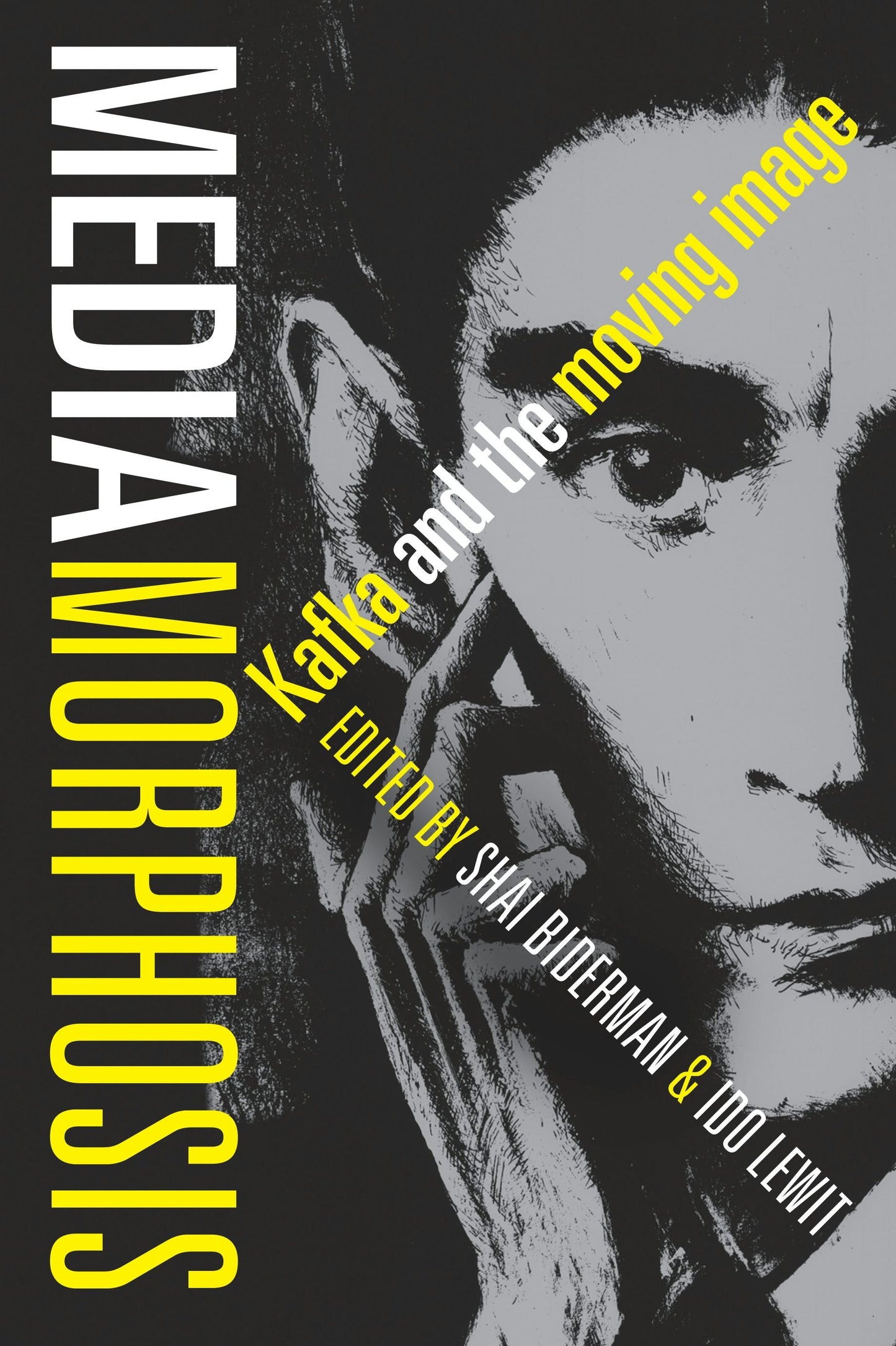 Book cover image for Mediamorphosis ISBN: 9780231176446