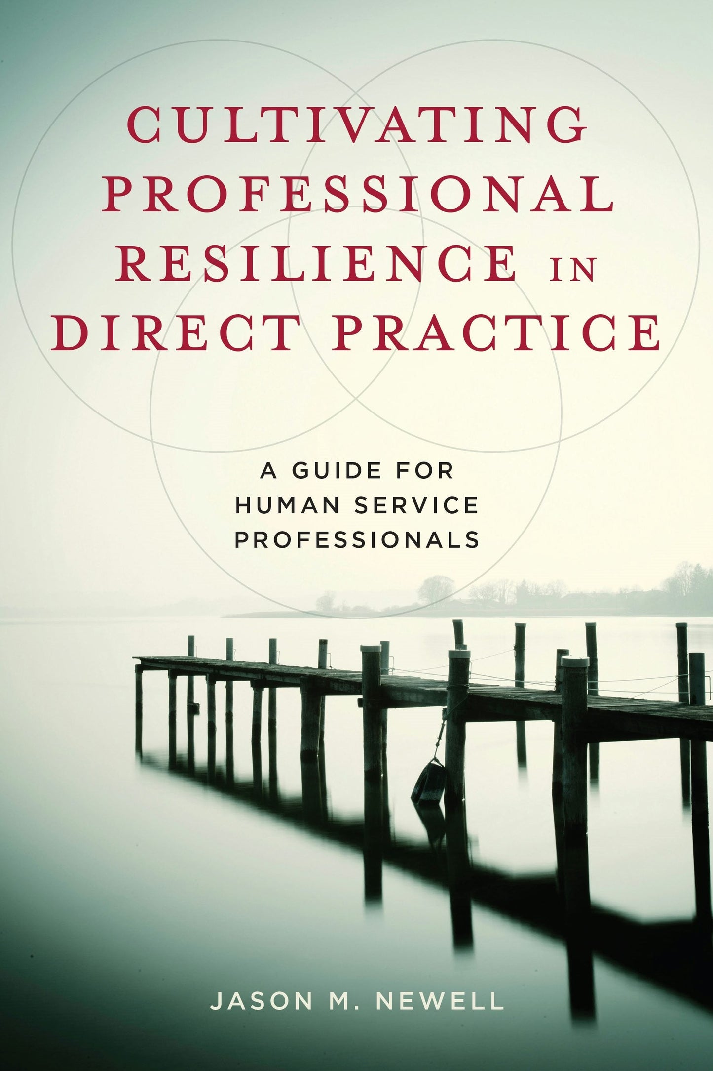 Book cover image for Cultivating Professional Resilience in Direct Practice ISBN: 9780231176583