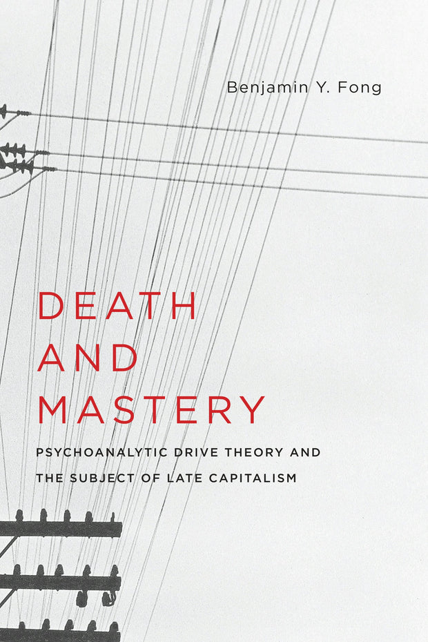 Cover image for Death and Mastery, isbn: 9780231176699