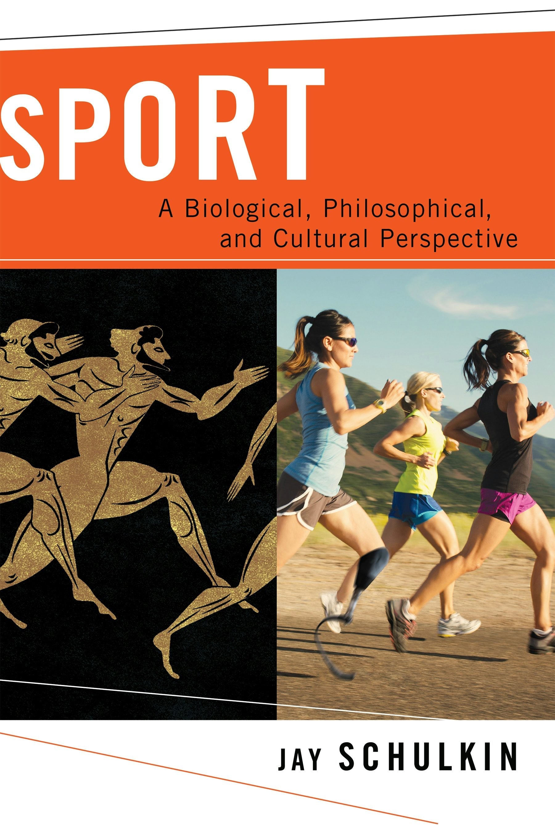 Book cover image for Sport ISBN: 9780231176767