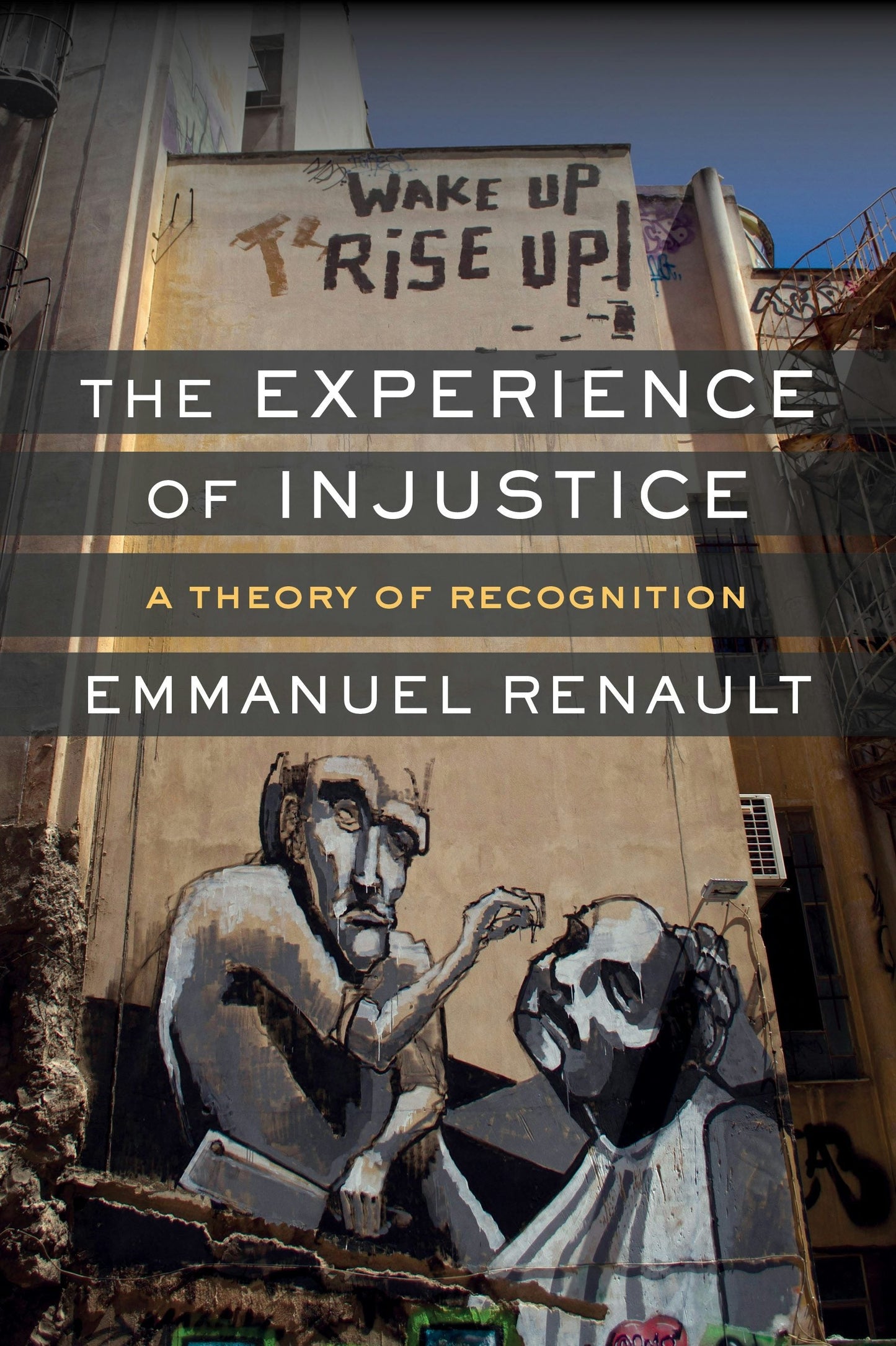 Book cover image for The Experience of Injustice ISBN: 9780231177061
