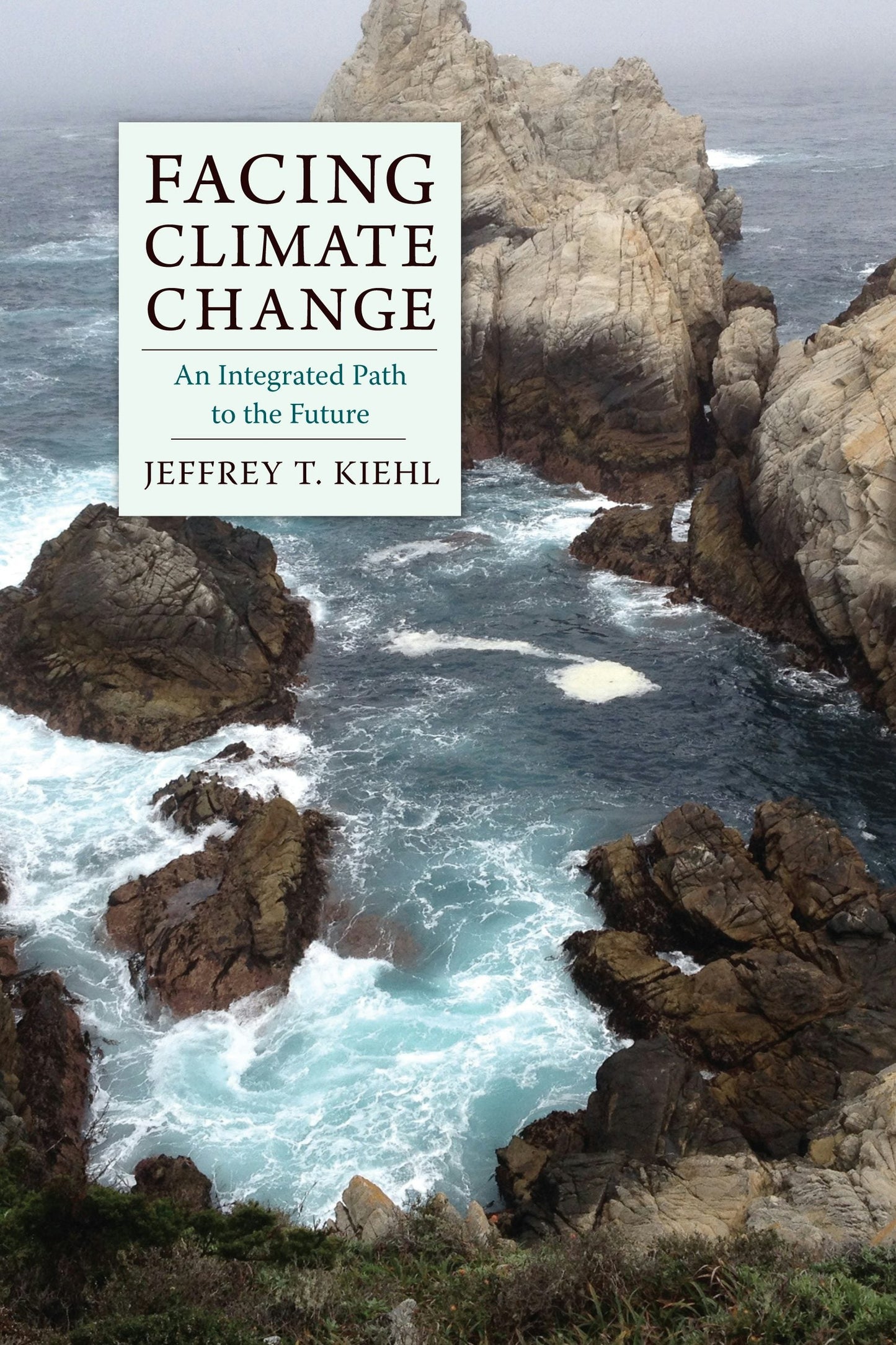Book cover image for Facing Climate Change ISBN: 9780231177184