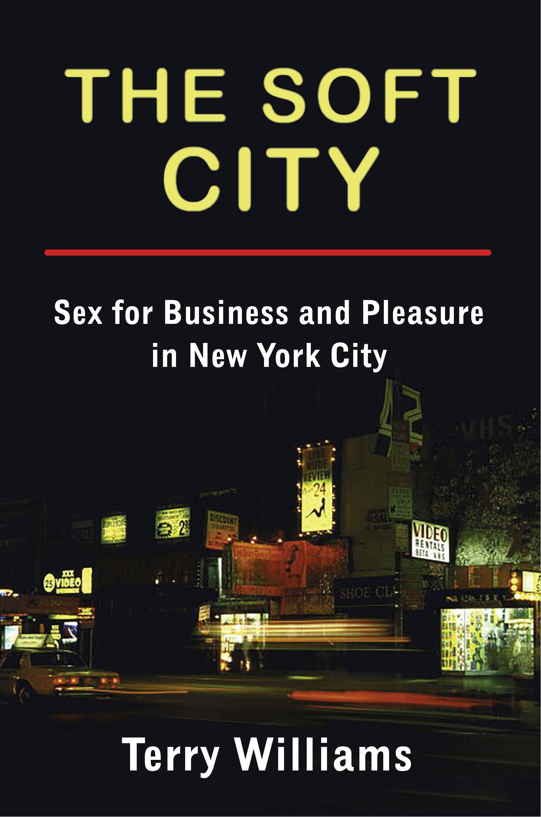 Book cover image for The Soft City ISBN: 9780231177948