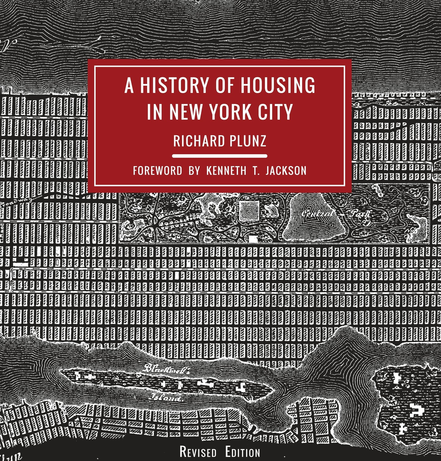 Book cover image for A History of Housing in New York City ISBN: 9780231178358