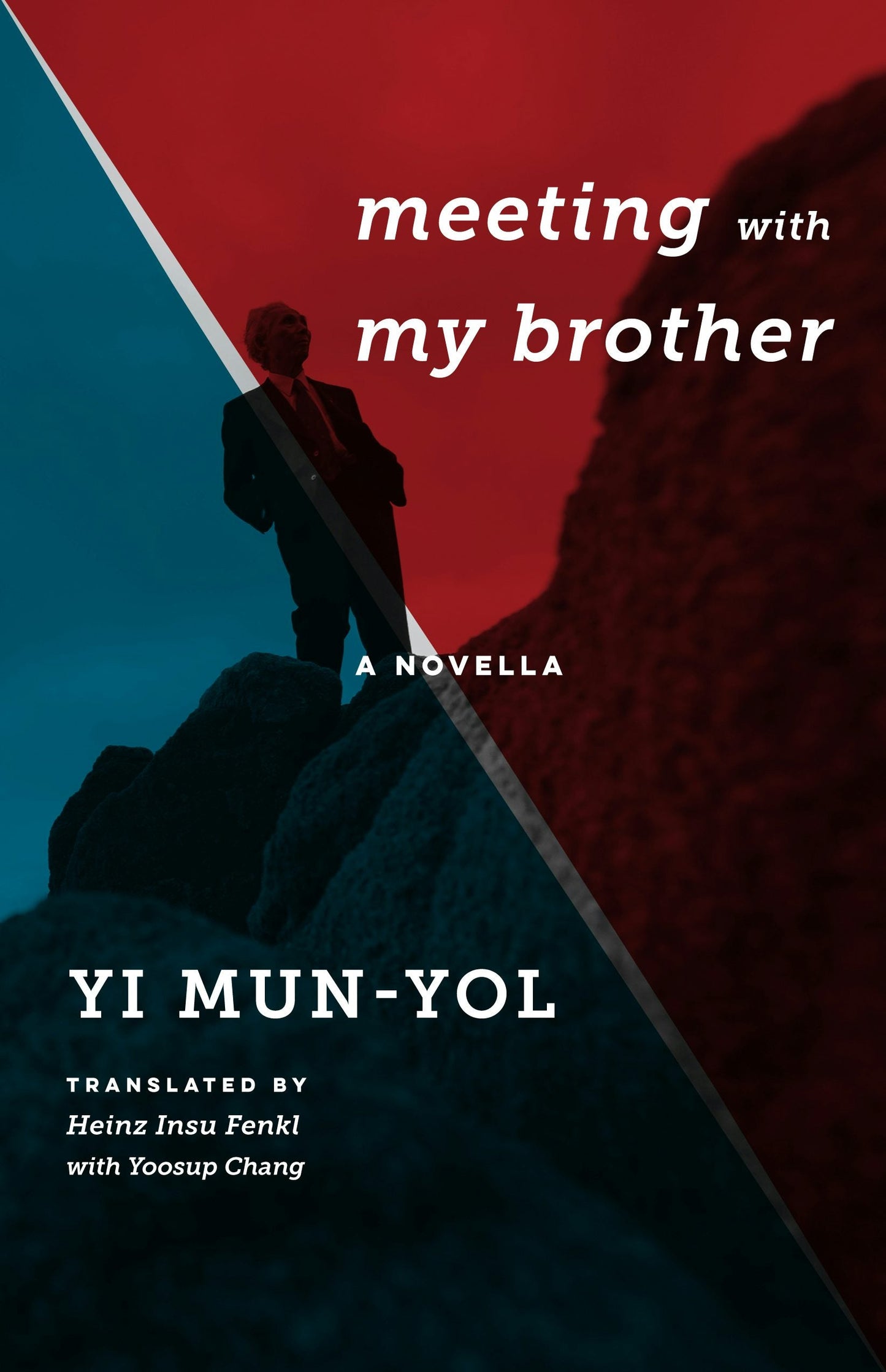 Book cover image for Meeting with My Brother ISBN: 9780231178648