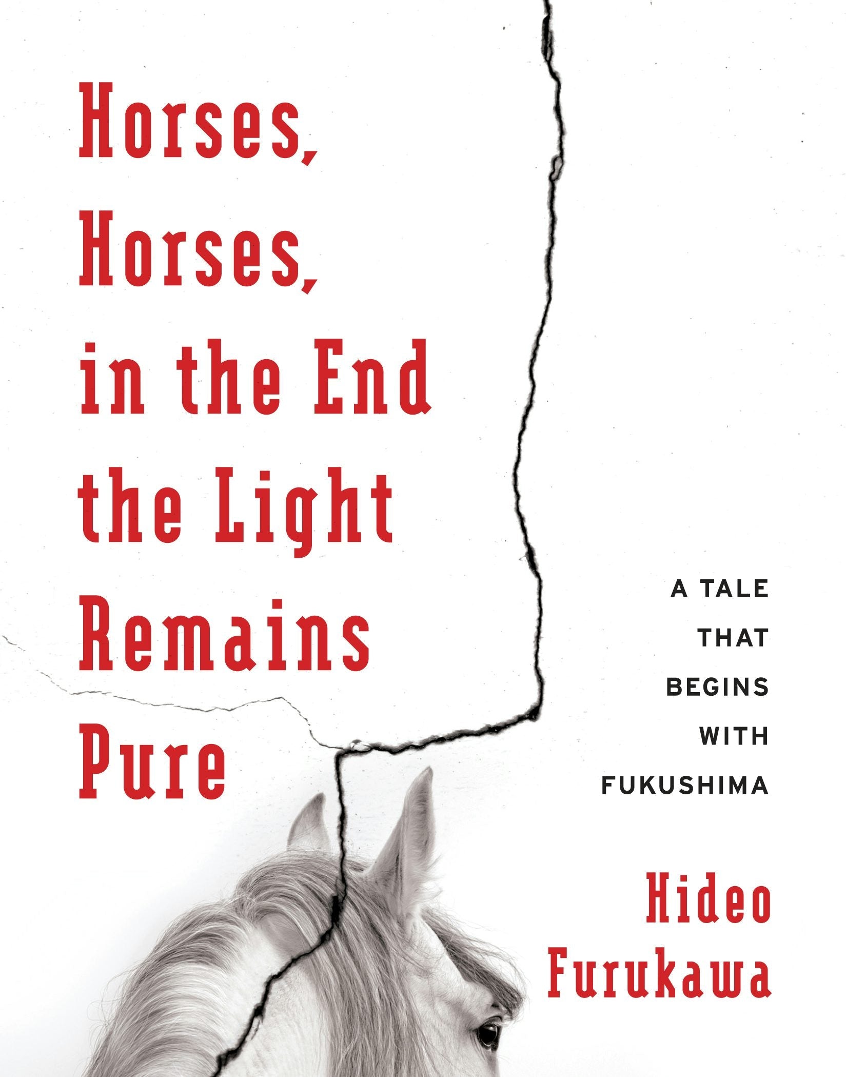 Book cover image for Horses, Horses, in the End the Light Remains Pure ISBN: 9780231178693