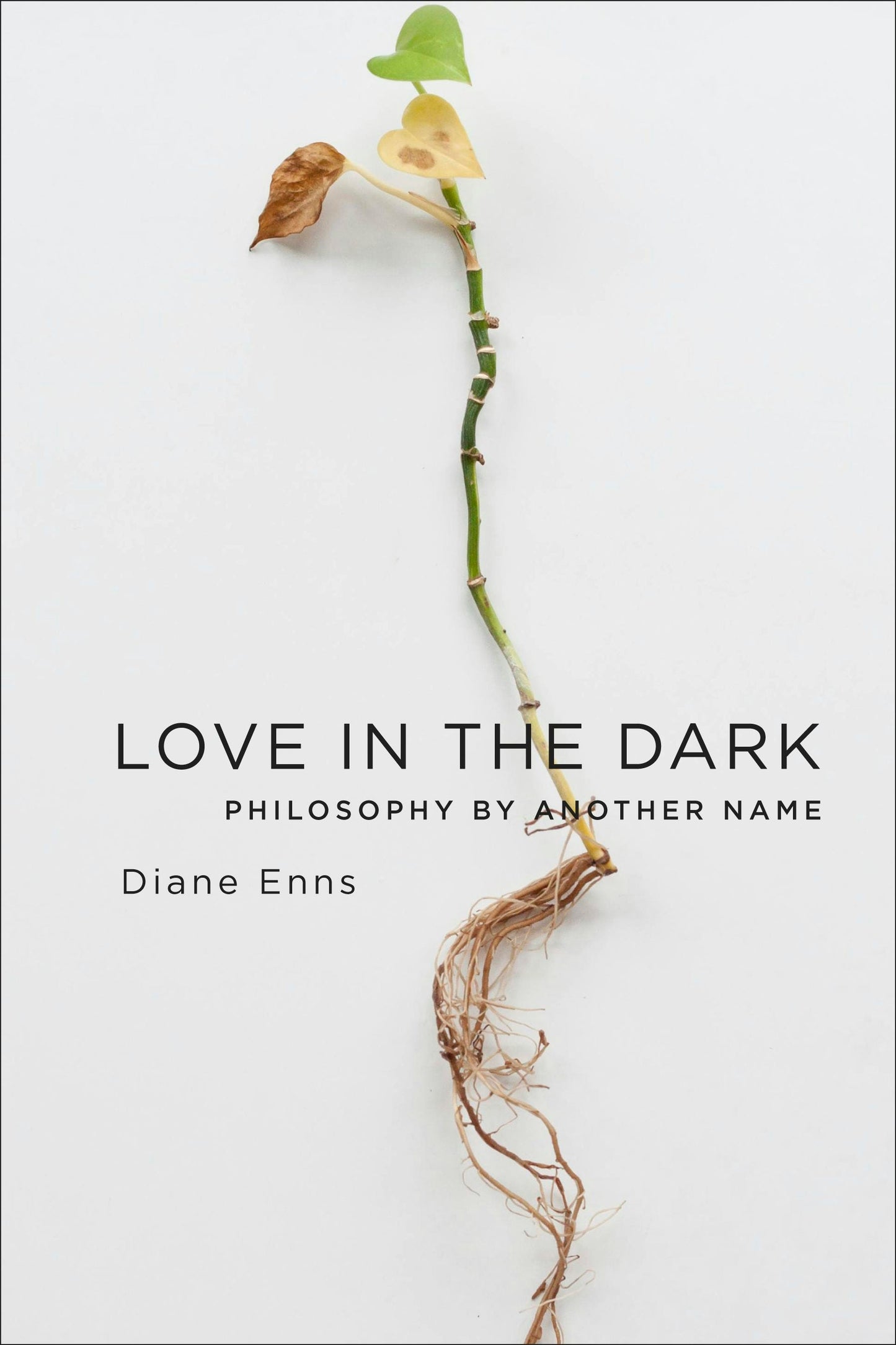 Book cover image for Love in the Dark ISBN: 9780231178969