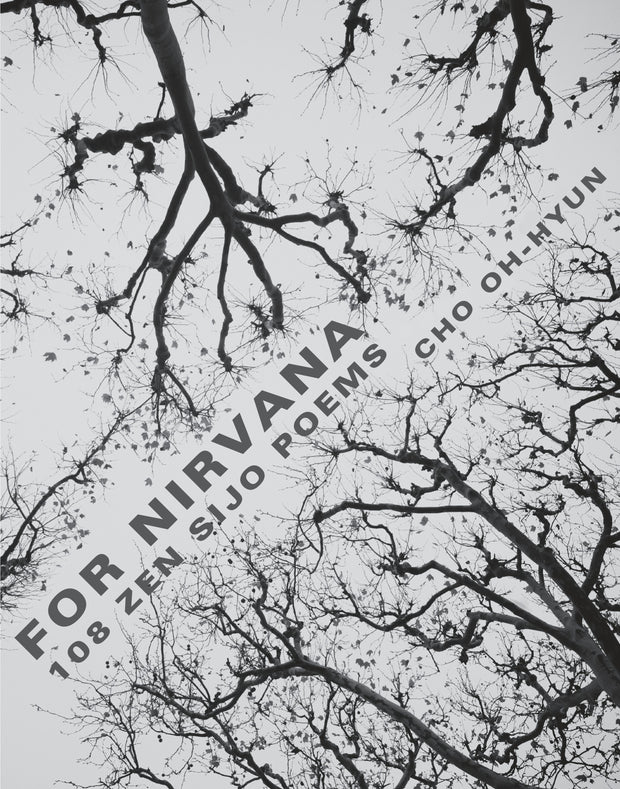 Cover image for For Nirvana, isbn: 9780231179904