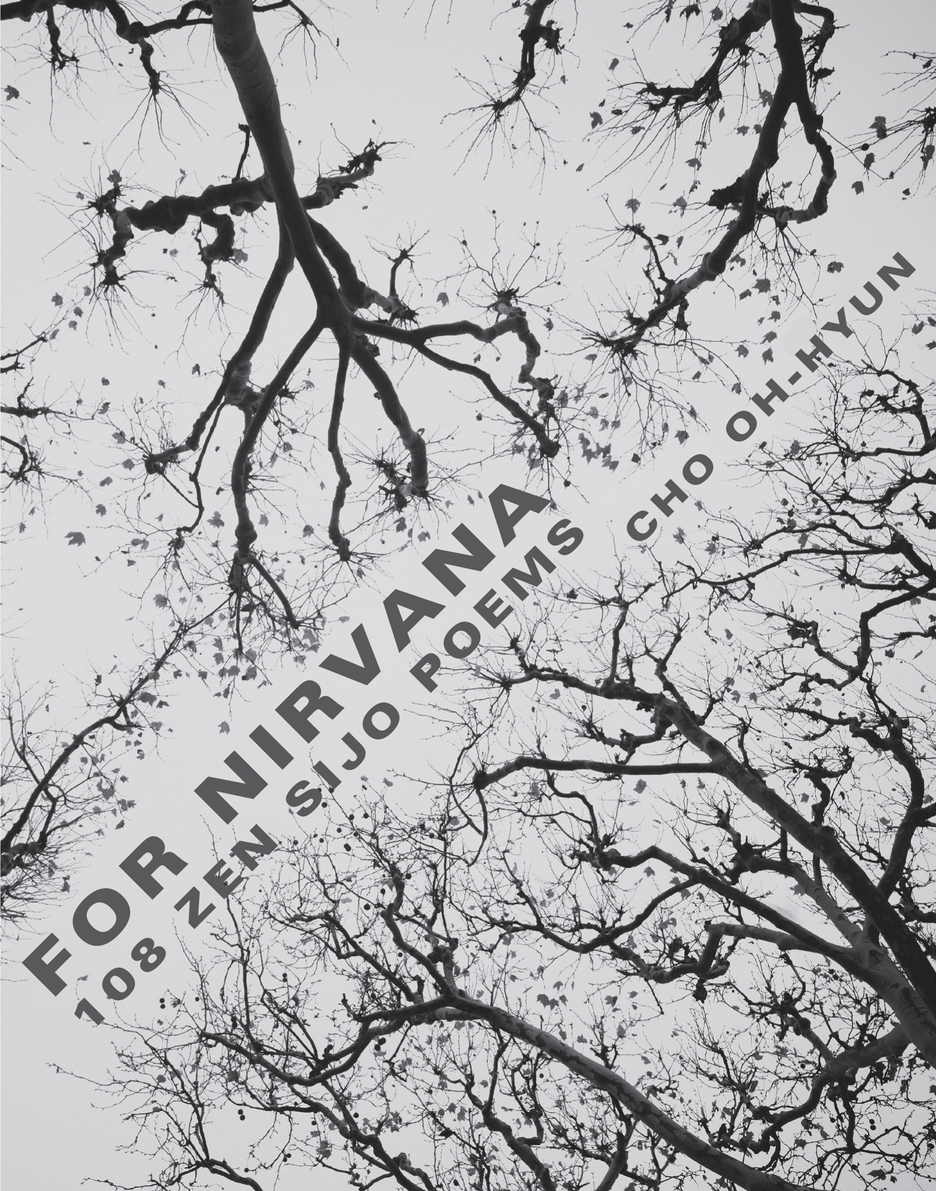 Book cover image for For Nirvana ISBN: 9780231179911