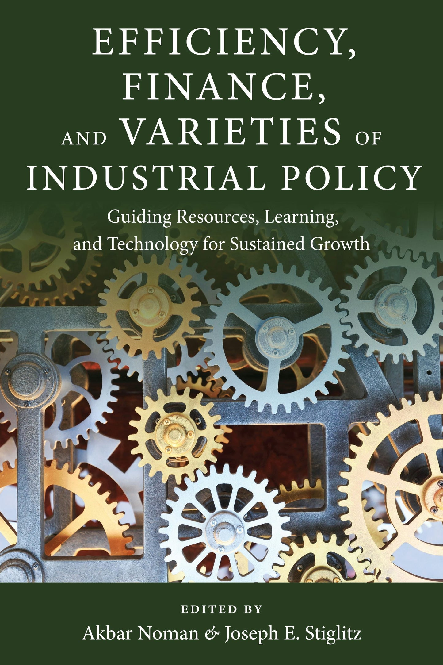 Book cover image for Efficiency, Finance, and Varieties of Industrial Policy ISBN: 9780231180504
