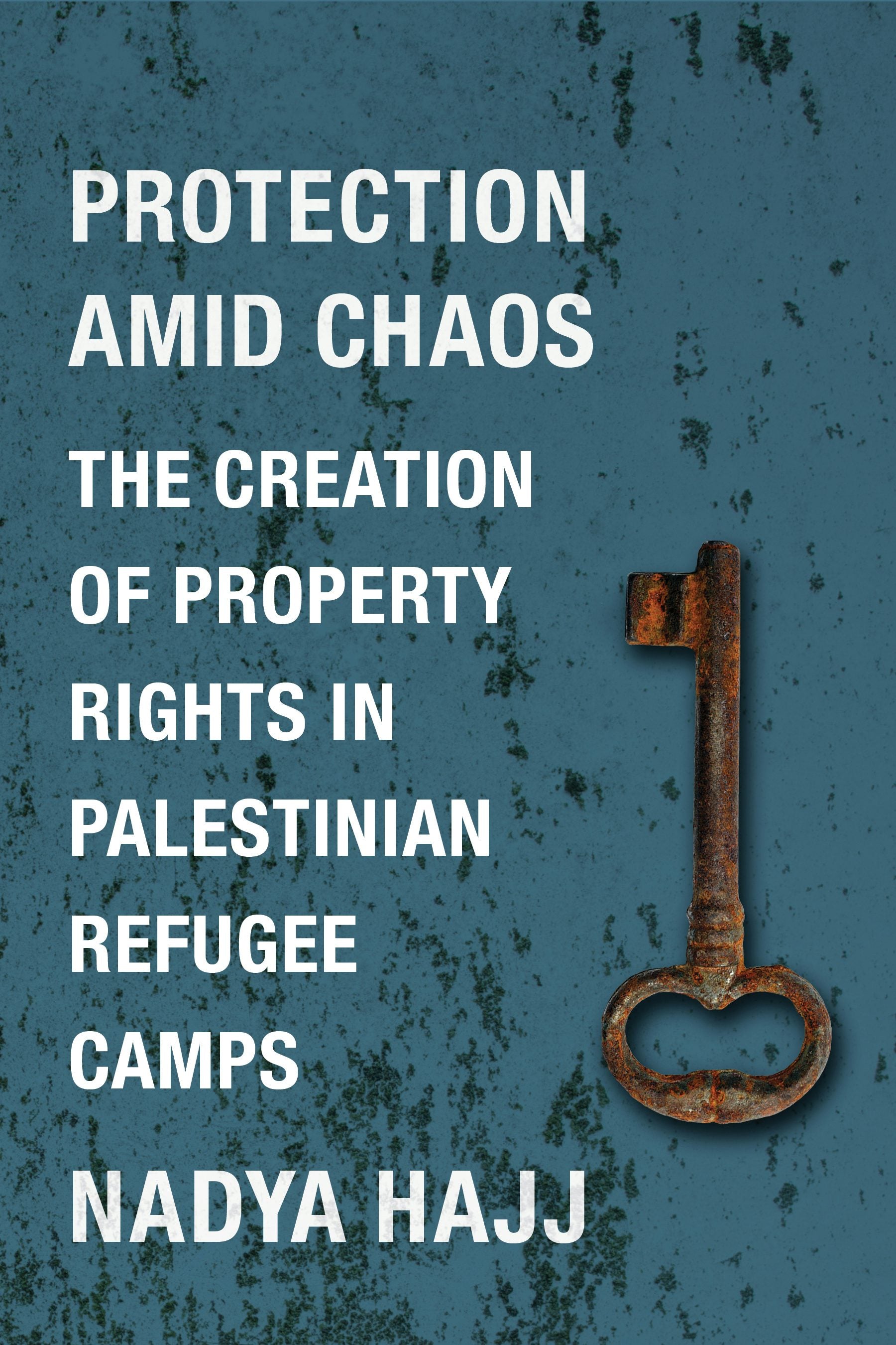 Book cover image for Protection Amid Chaos ISBN: 9780231180627