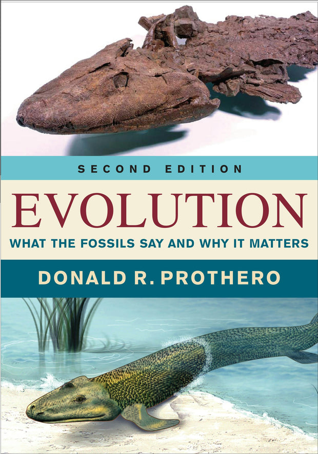 Cover image for Evolution, isbn: 9780231180641