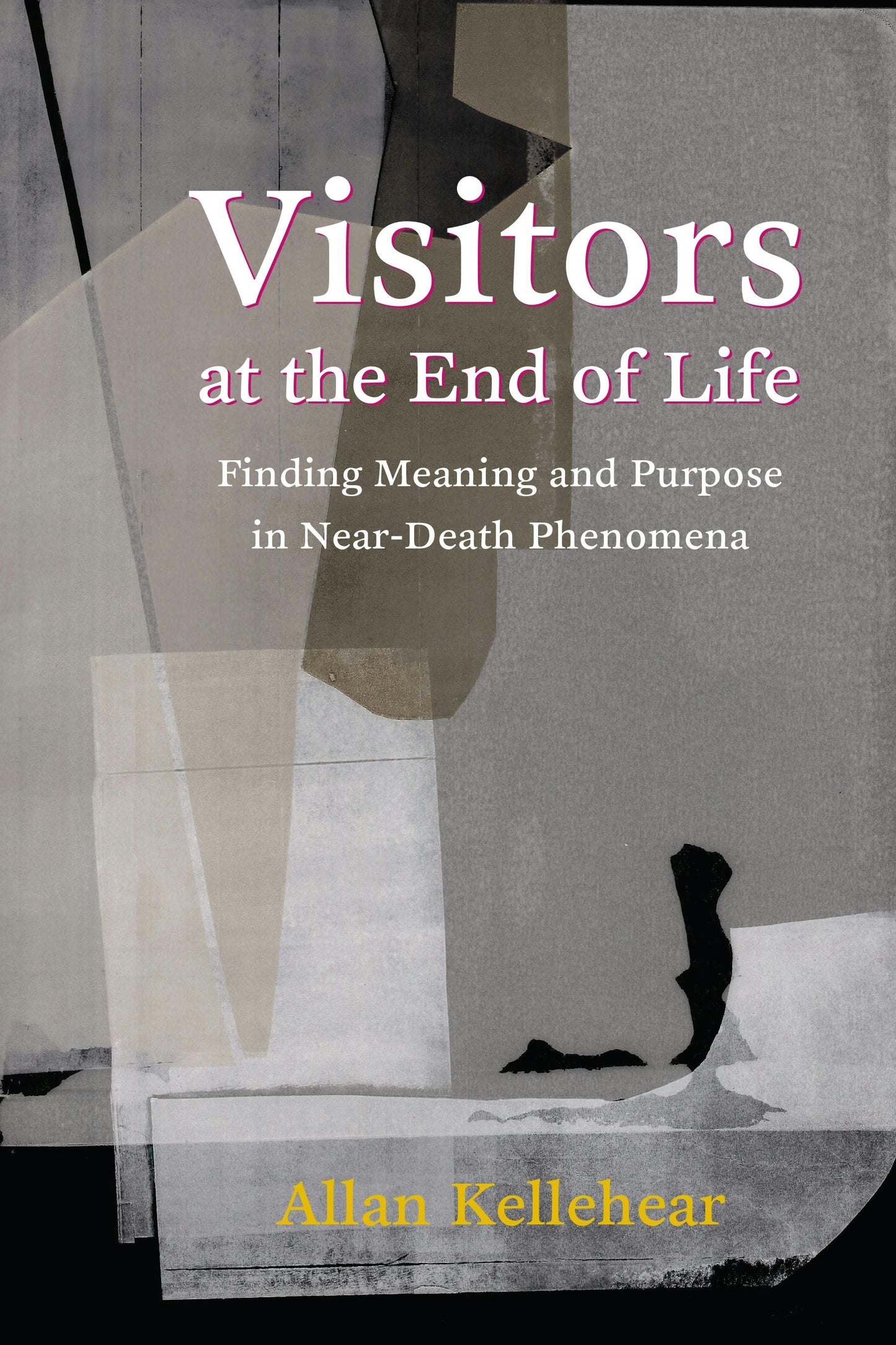 Book cover image for Visitors at the End of Life ISBN: 9780231182157