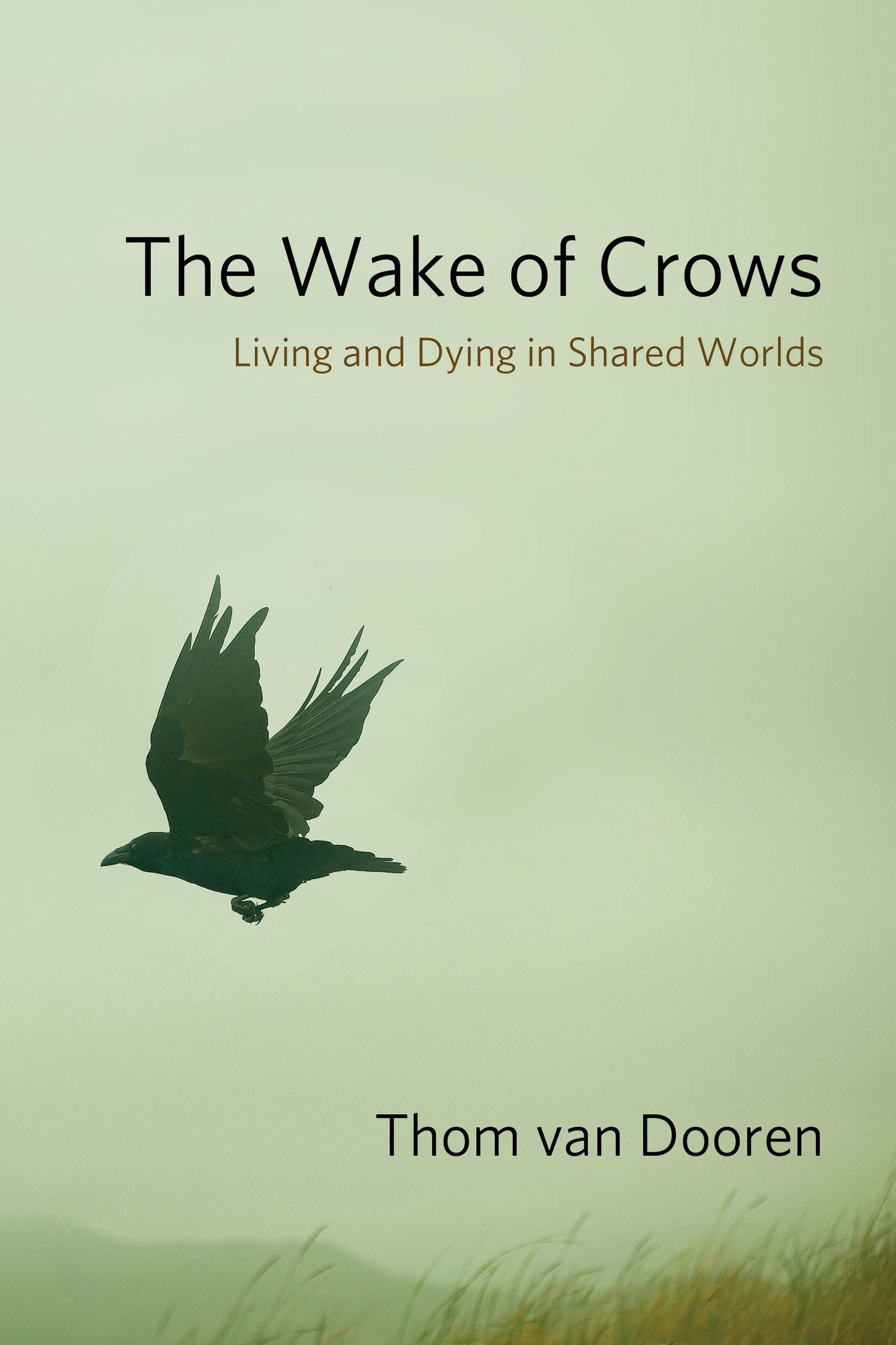 Book cover image for The Wake of Crows ISBN: 9780231182829
