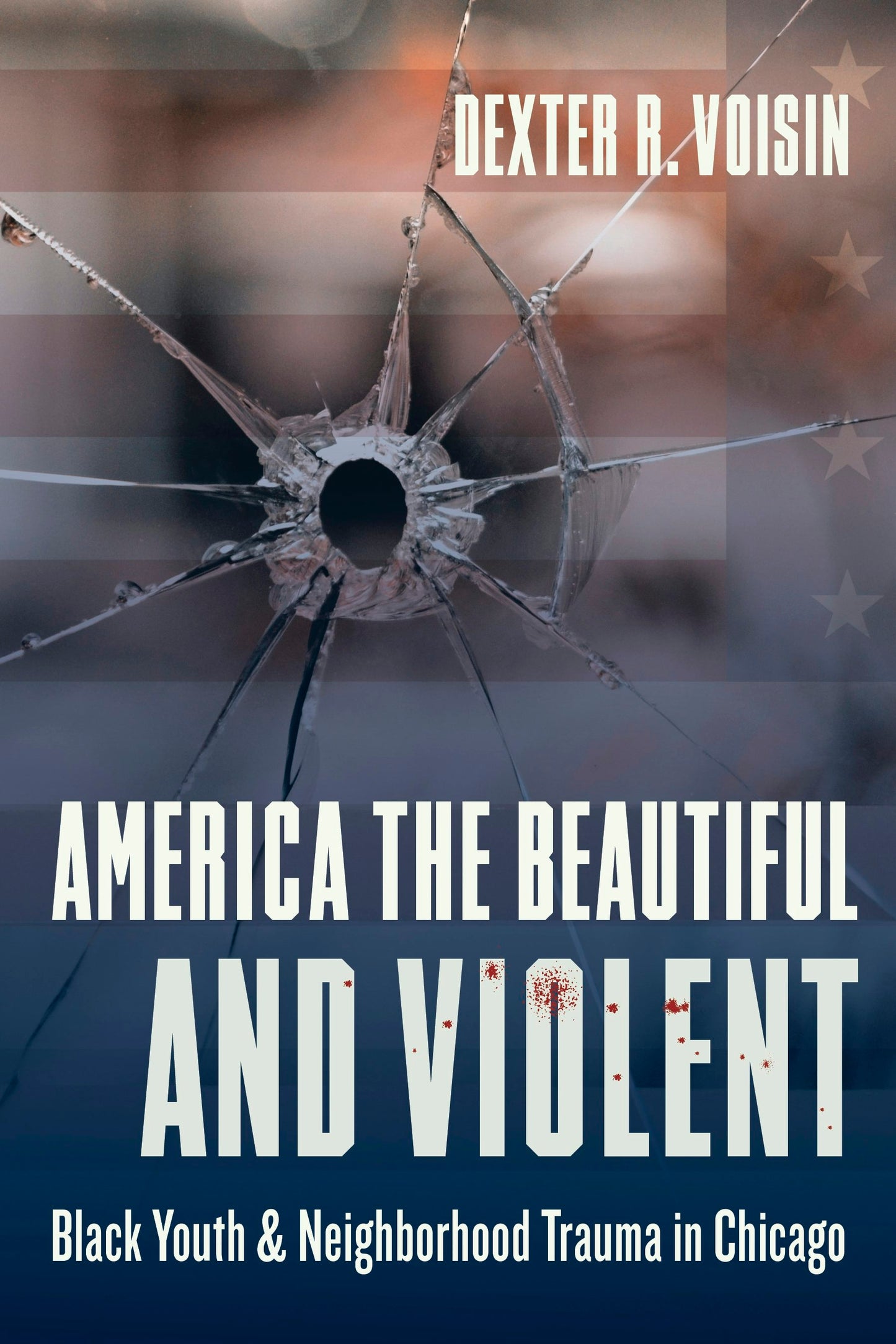 Book cover image for America the Beautiful and Violent ISBN: 9780231184403