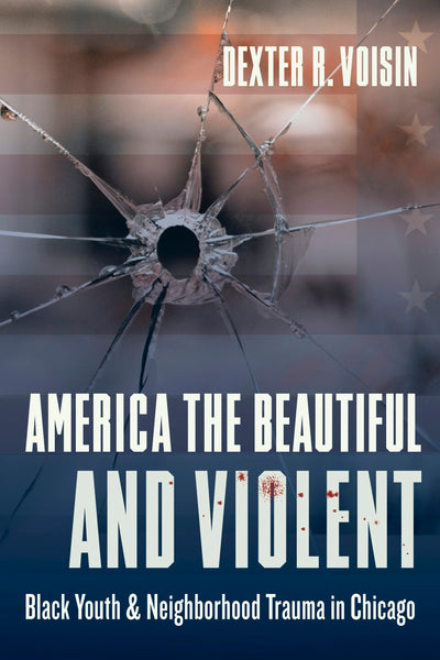 Cover image for America the Beautiful and Violent, isbn: 9780231184403