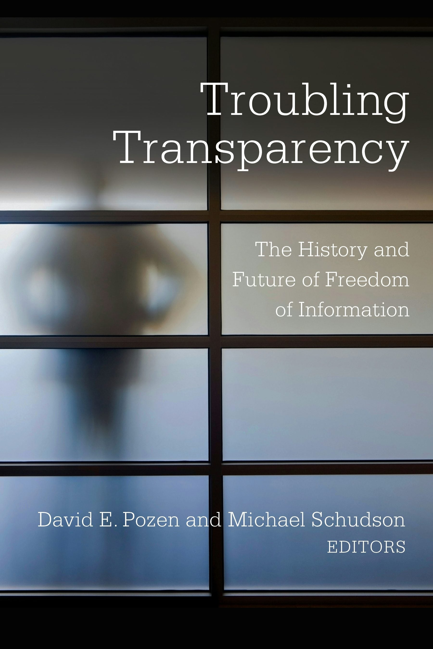 Book cover image for Troubling Transparency ISBN: 9780231184991