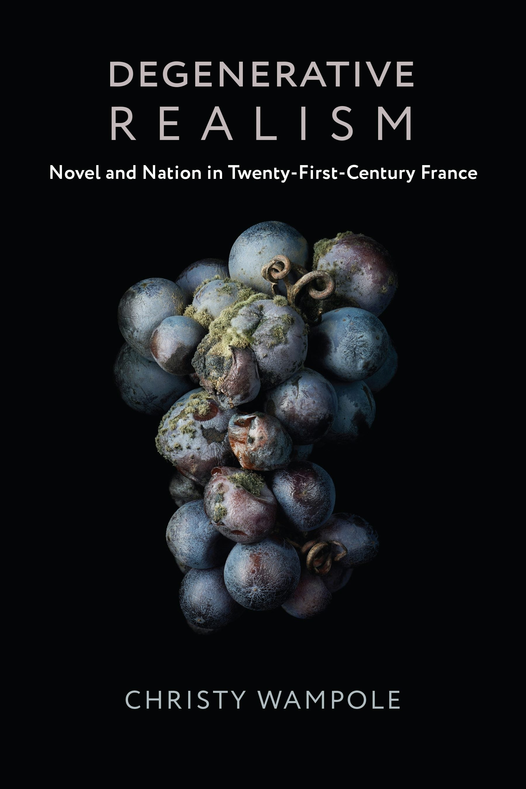 Book cover image for Degenerative Realism ISBN: 9780231185172