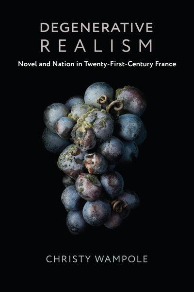 Cover image for Degenerative Realism, isbn: 9780231185172
