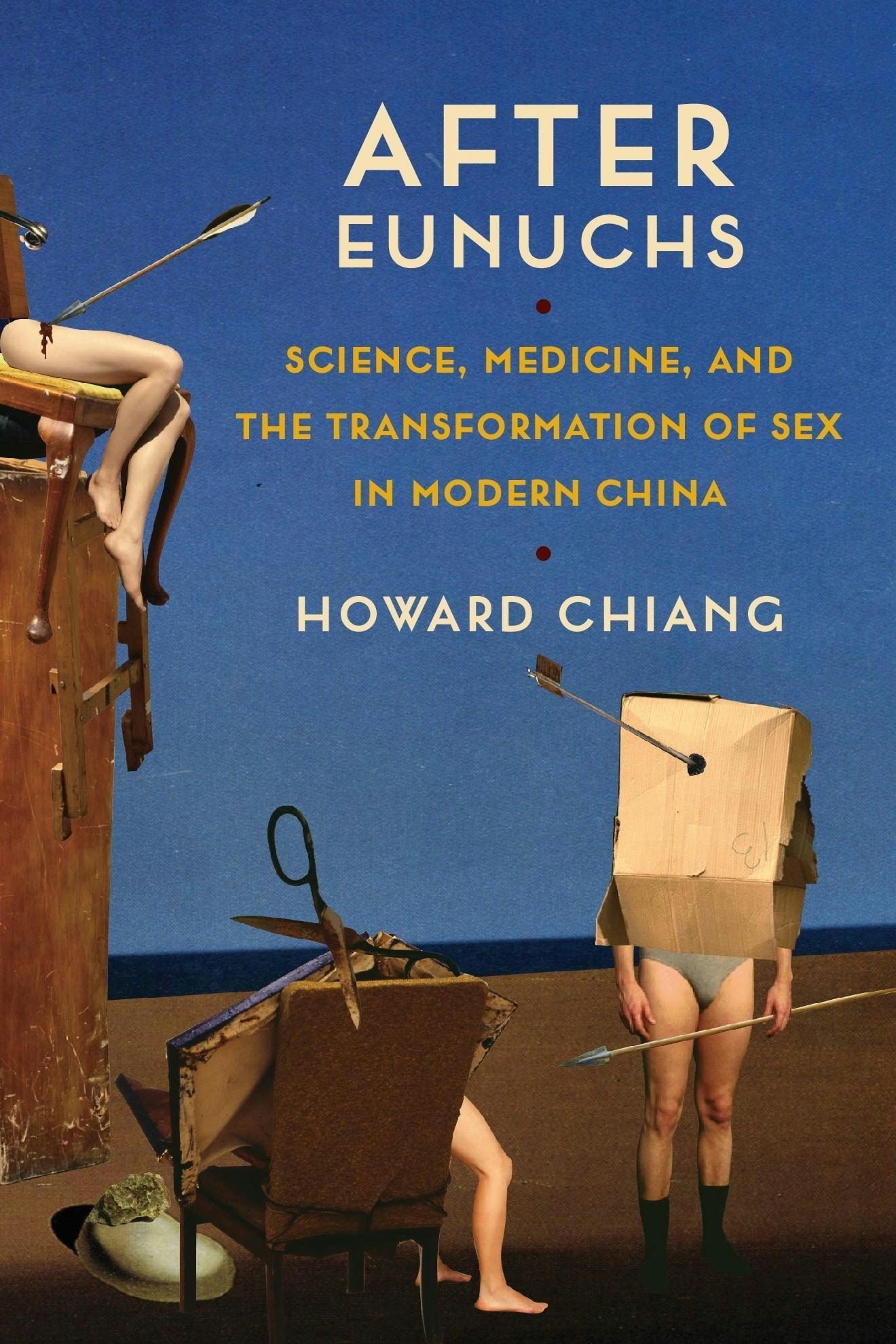 Book cover image for After Eunuchs ISBN: 9780231185783
