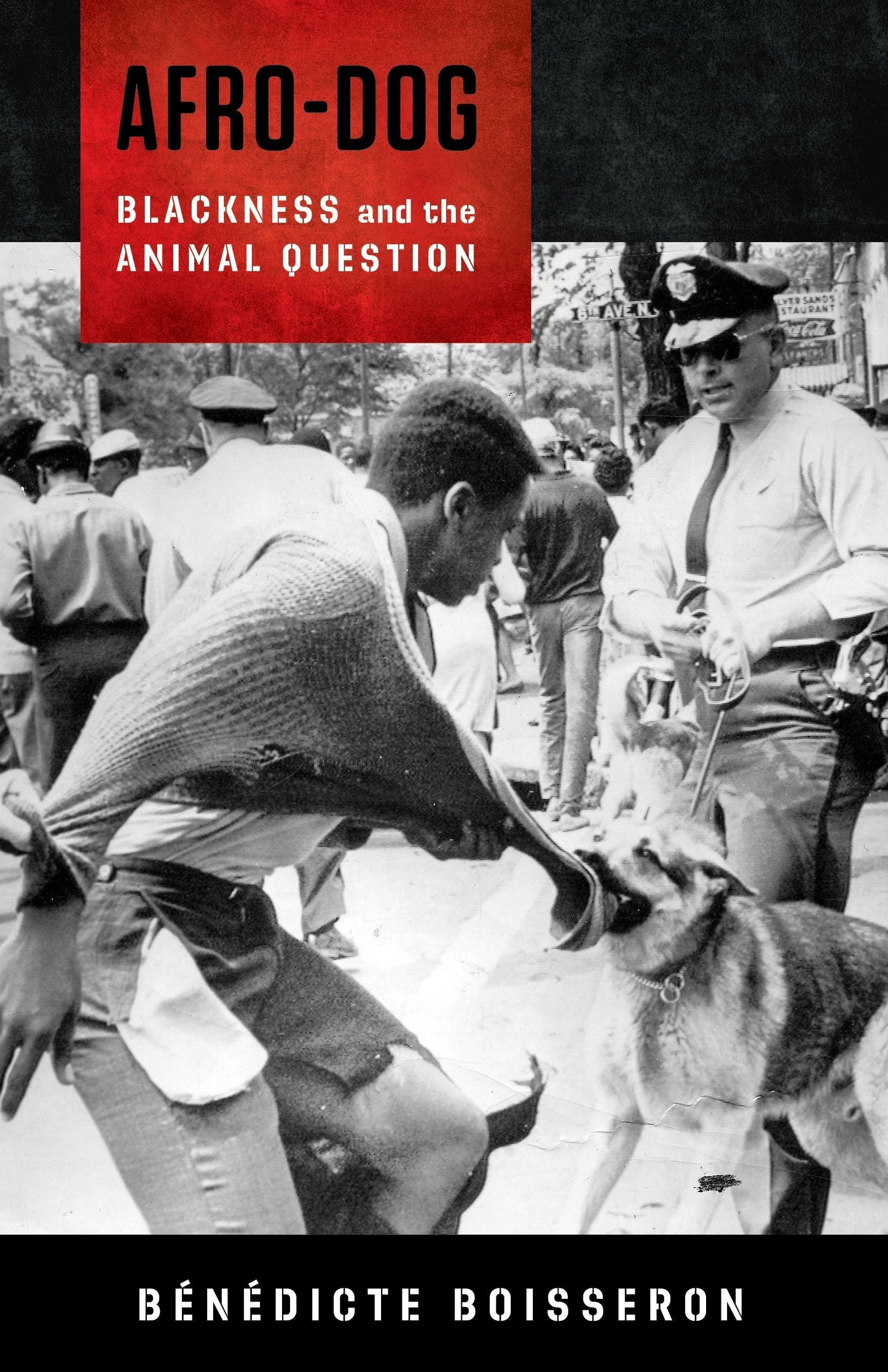Book cover image for Afro-Dog ISBN: 9780231186643