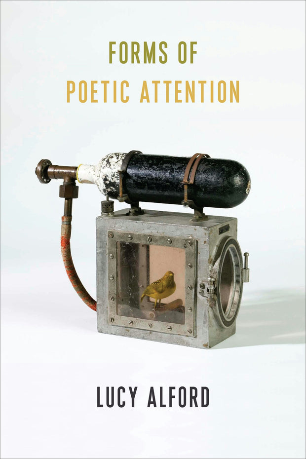 Cover image for Forms of Poetic Attention, isbn: 9780231187541