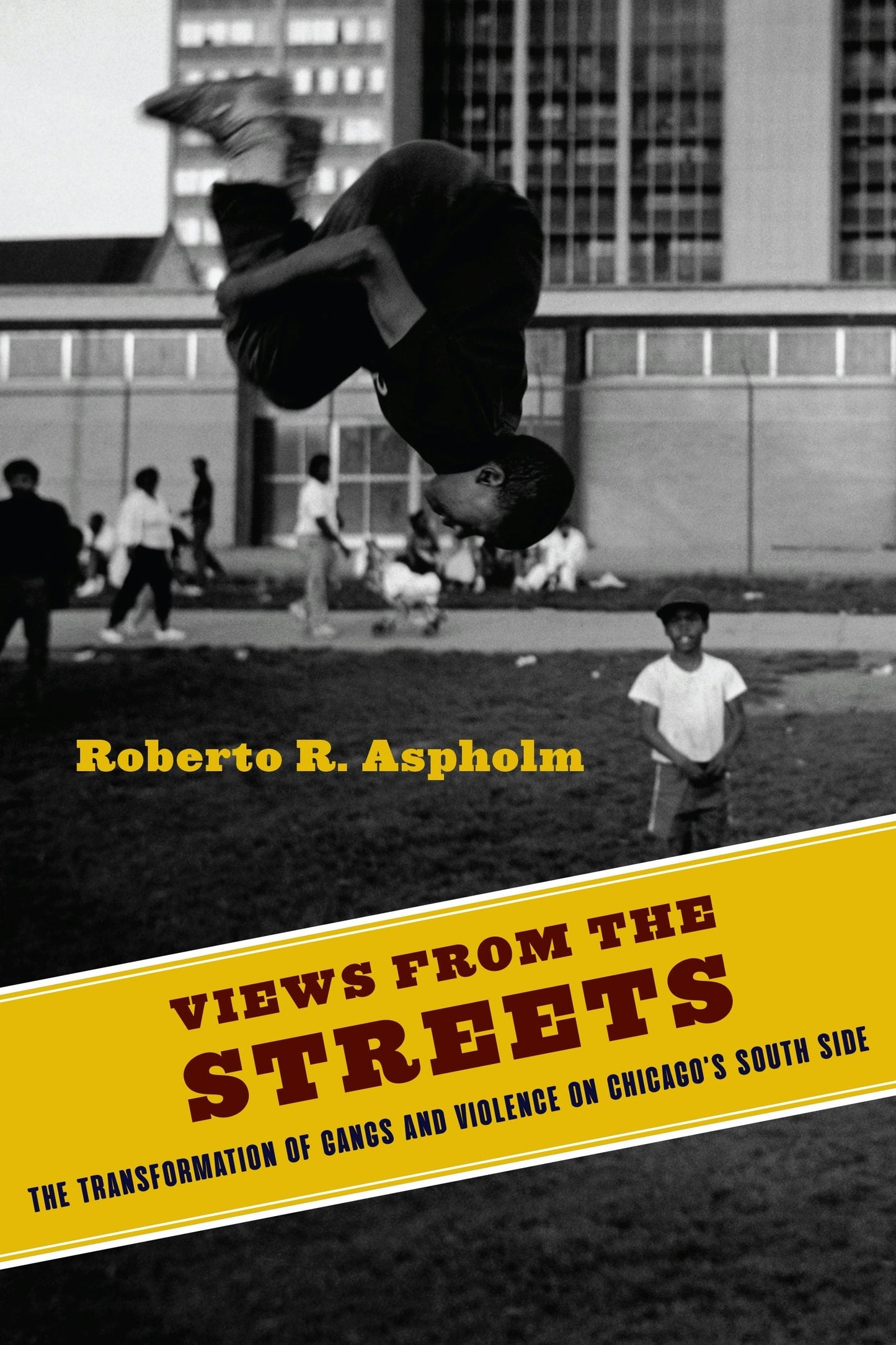 Book cover image for Views from the Streets ISBN: 9780231187732