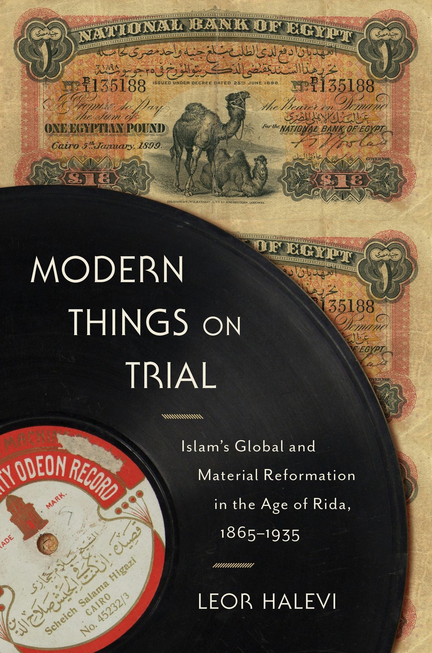 Book cover image for Modern Things on Trial ISBN: 9780231188678