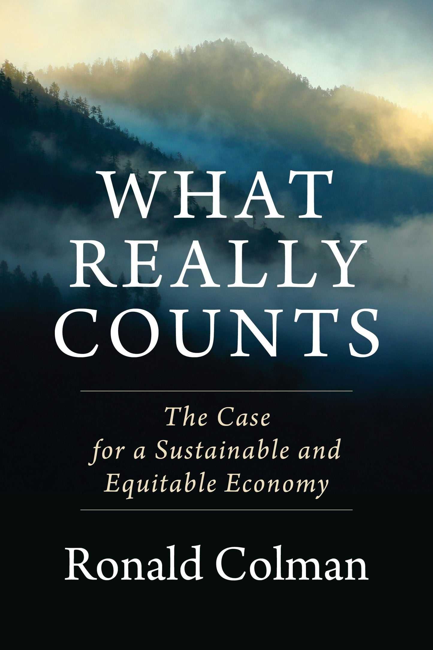 Book cover image for What Really Counts ISBN: 9780231190985