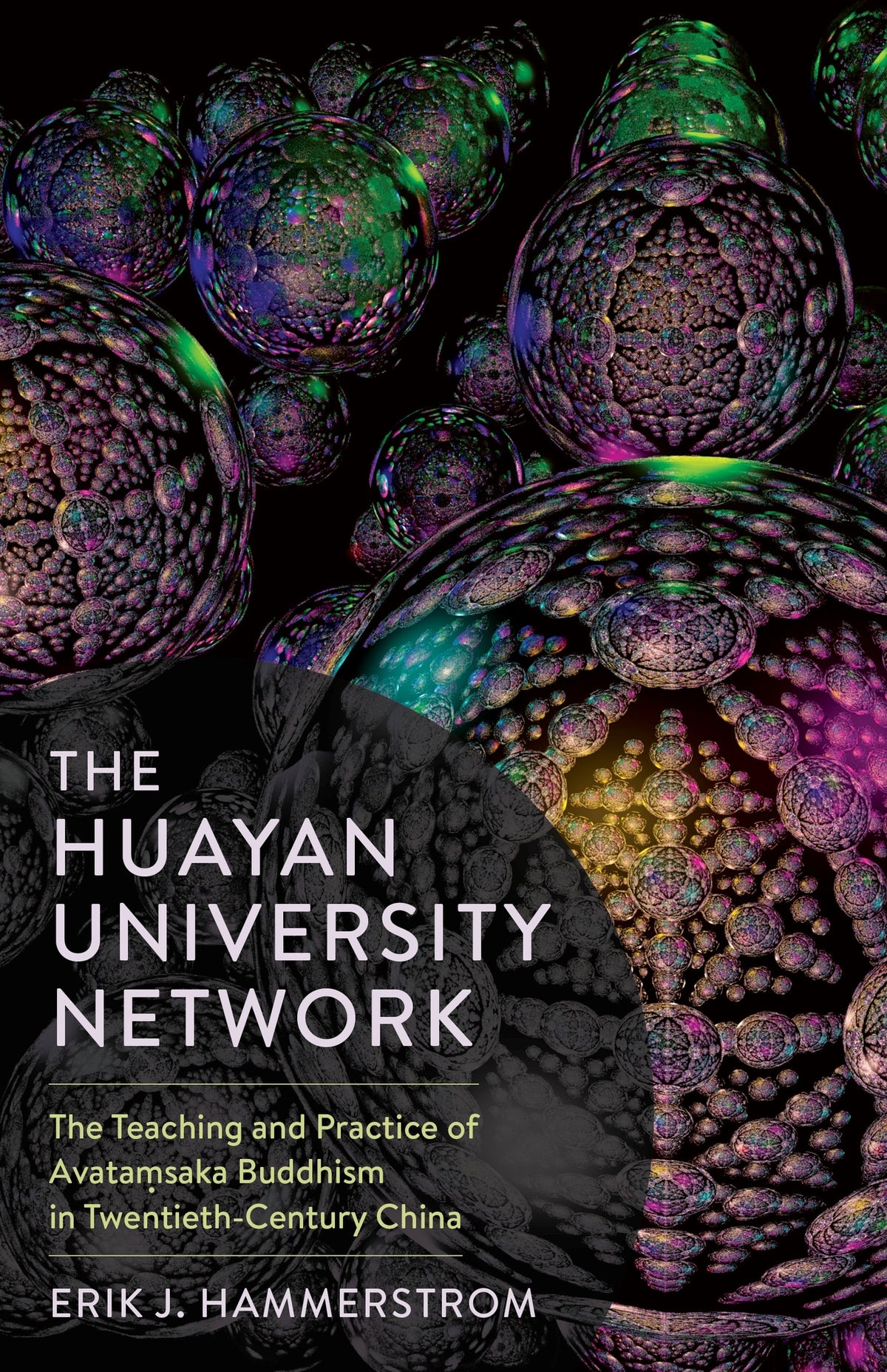 Cover image for The Huayan University Network ISBN 9780231194303