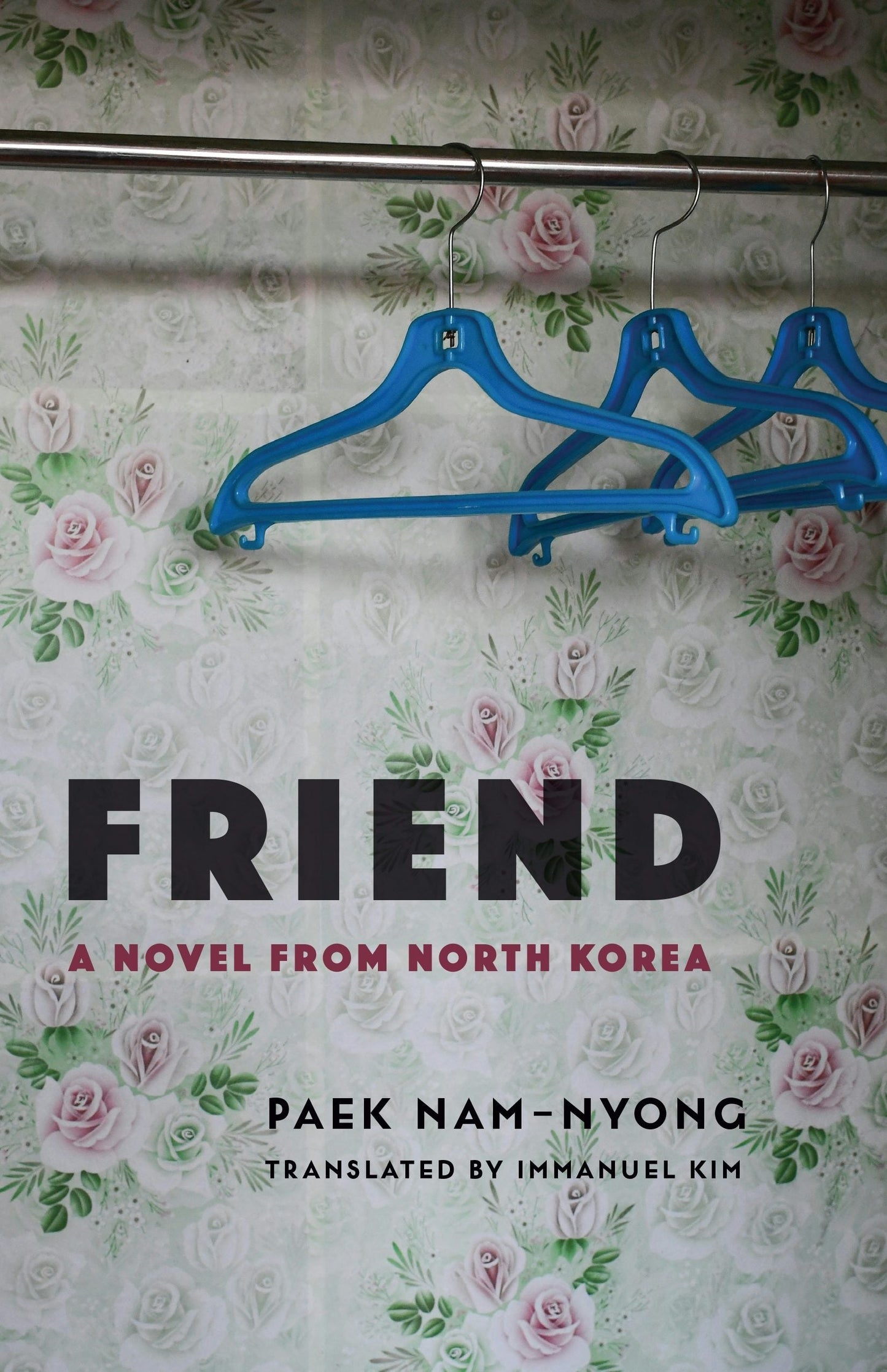 Book cover image for Friend ISBN: 9780231195607