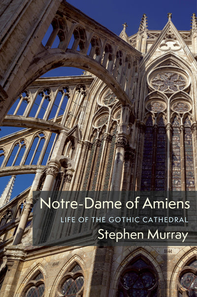 Cover image for Notre-Dame of Amiens, isbn: 9780231195768