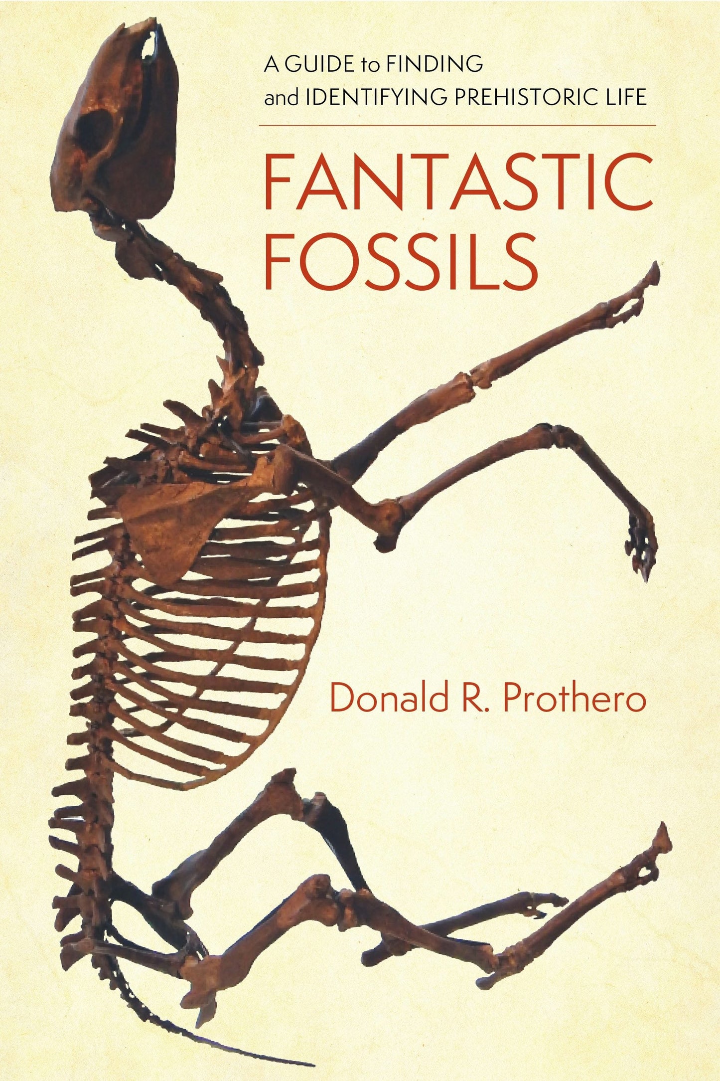 Book cover image for Fantastic Fossils ISBN: 9780231195799