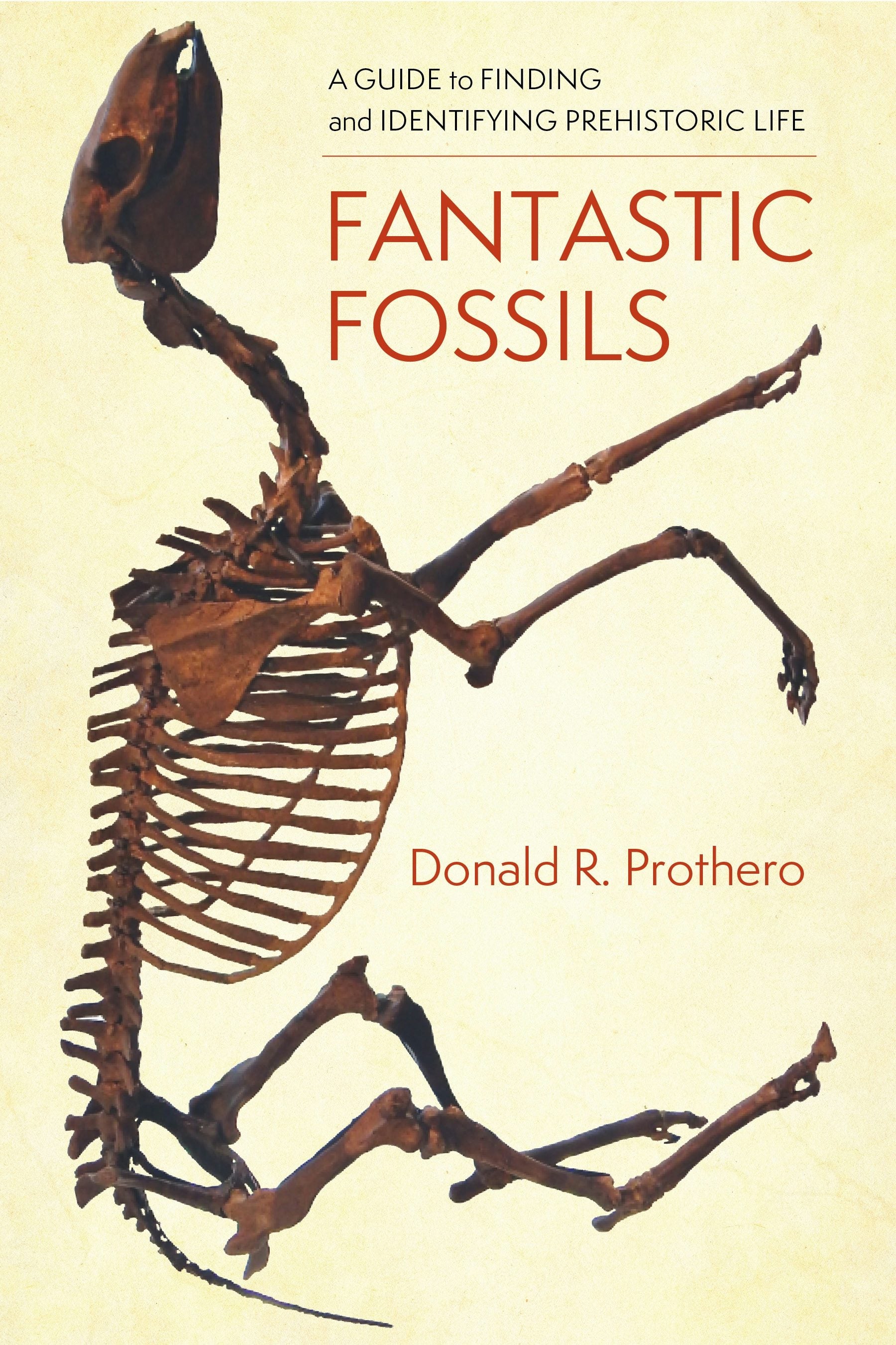 Book cover image for Fantastic Fossils ISBN: 9780231195799