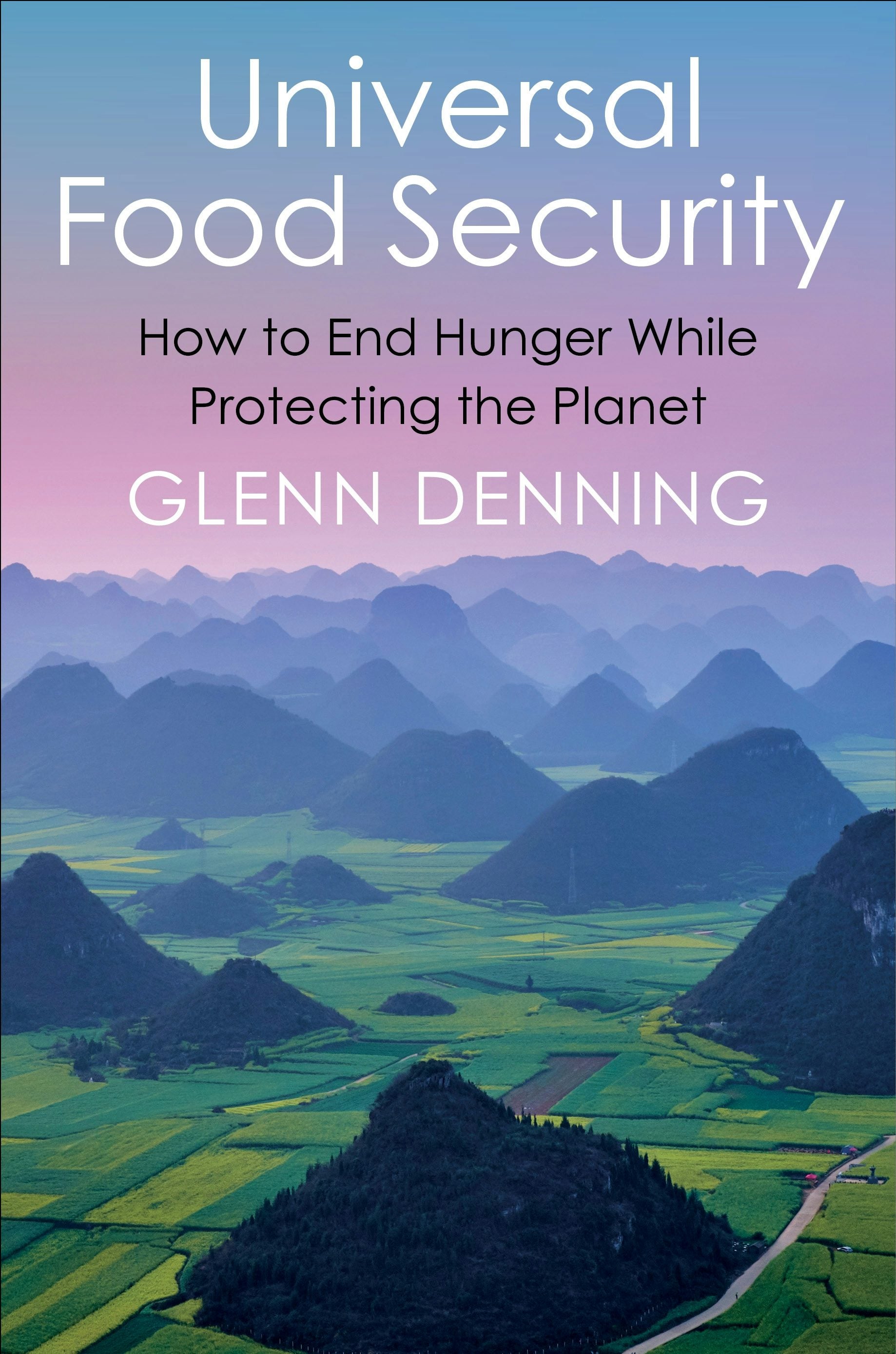 Book cover image for Universal Food Security ISBN: 9780231197601