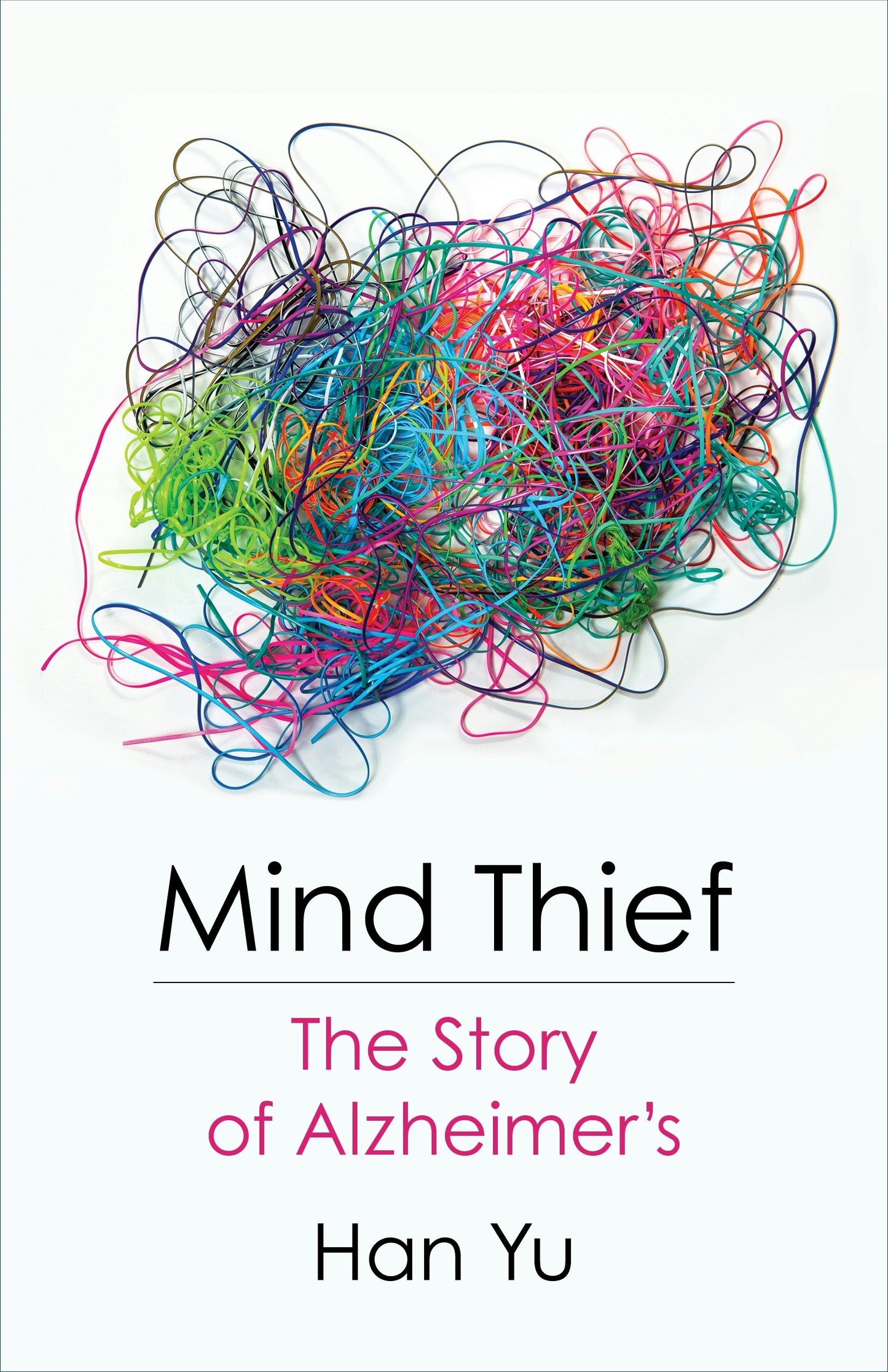 Book cover image for Mind Thief ISBN: 9780231198714