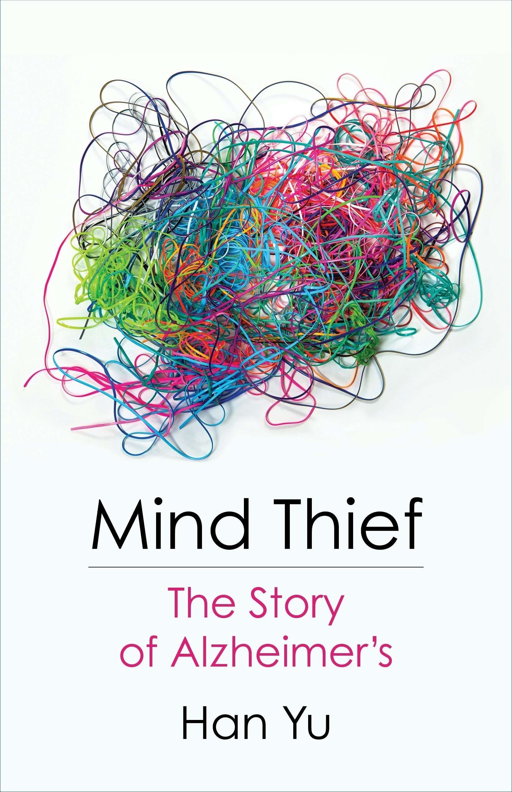 Book cover image for Mind Thief ISBN: 9780231198714