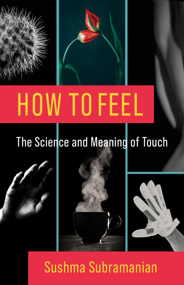 Cover image for How to Feel, isbn: 9780231199322