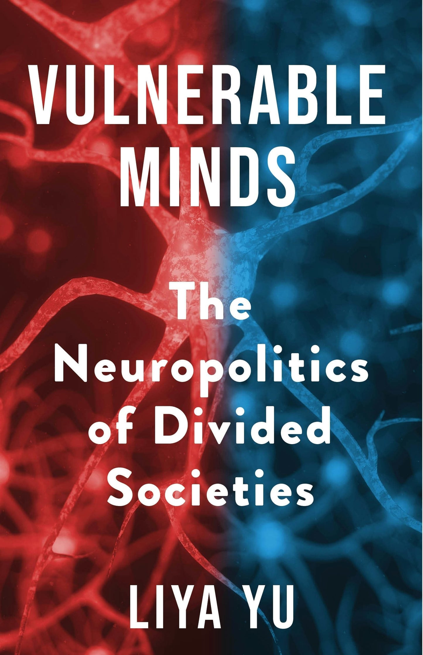Book cover image for Vulnerable Minds ISBN: 9780231200301