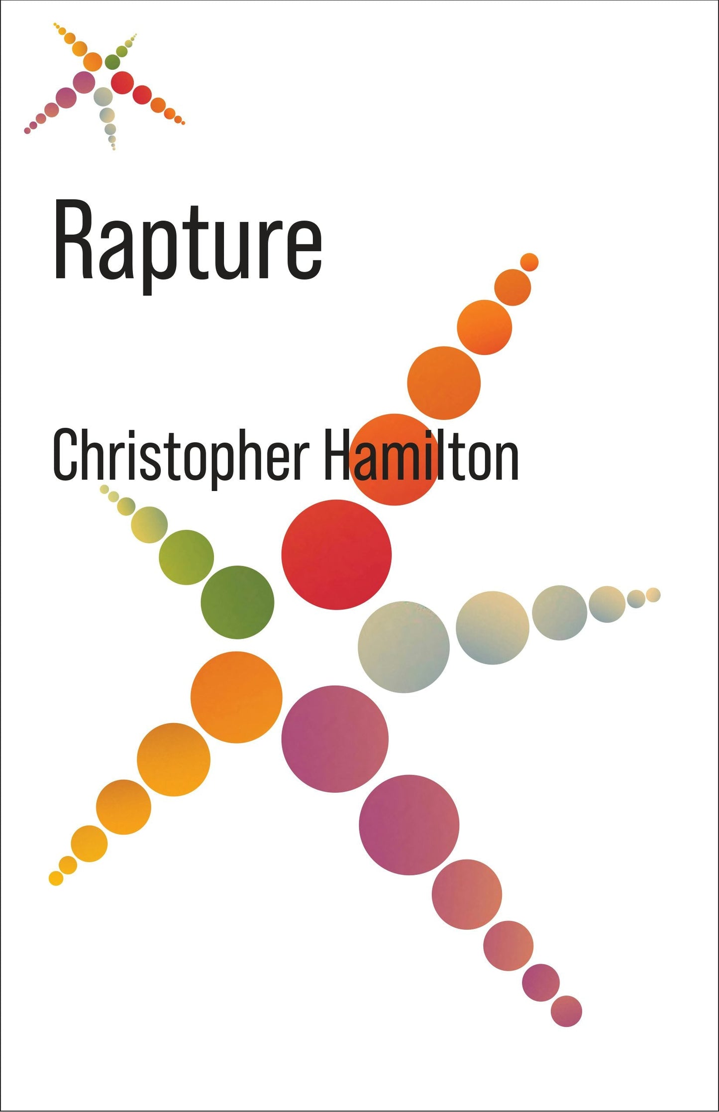 Book cover image for Rapture ISBN: 9780231201551