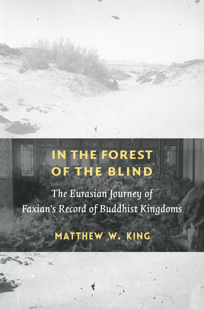 Cover image for In the Forest of the Blind, isbn: 9780231203609
