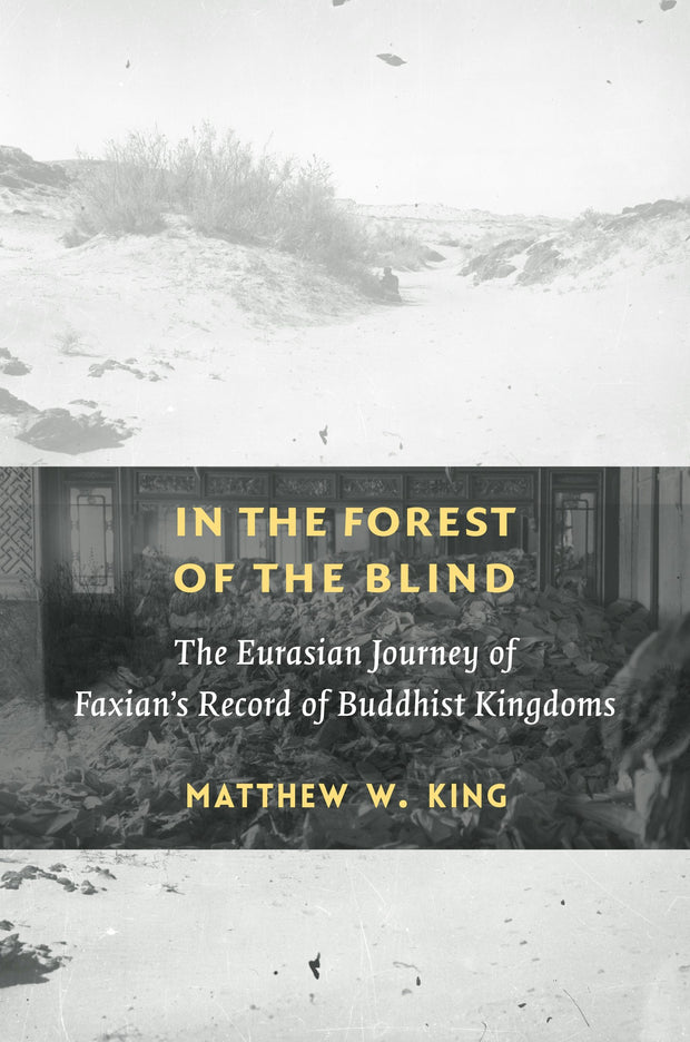 Cover image for In the Forest of the Blind, isbn: 9780231203616