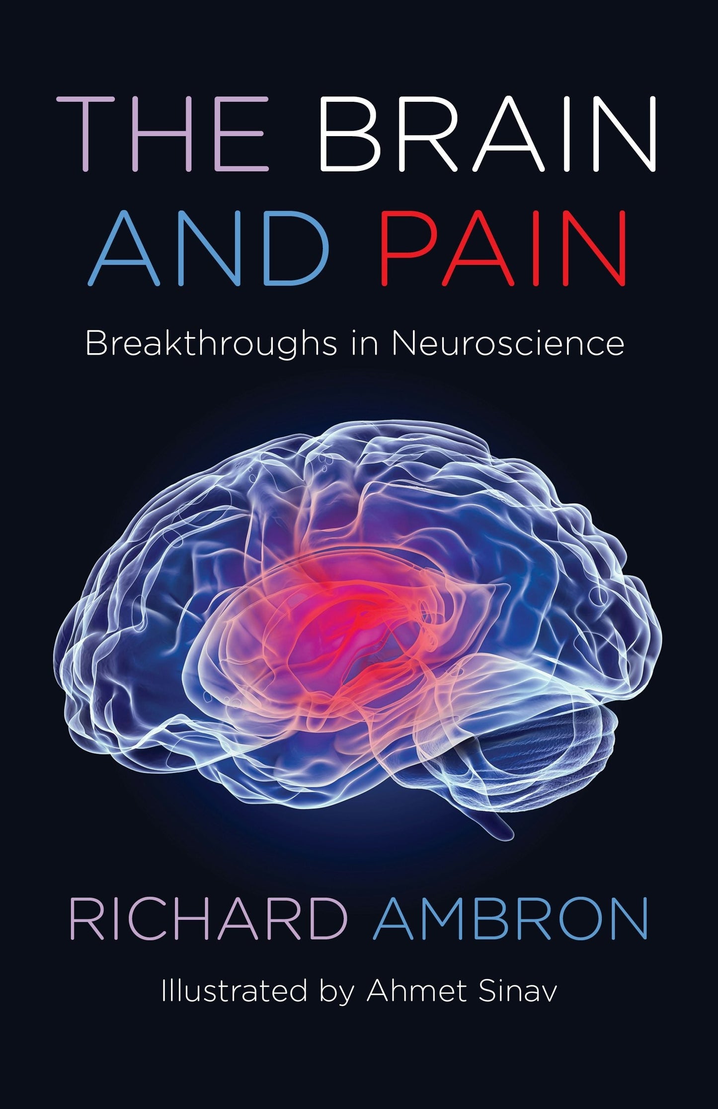 Book cover image for The Brain and Pain ISBN: 9780231204866