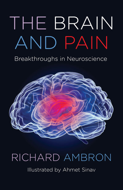 Cover image for The Brain and Pain, isbn: 9780231204873