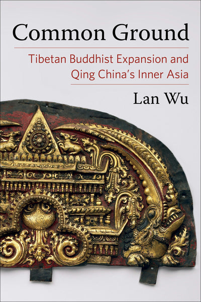 Cover image for Common Ground, isbn: 9780231206174